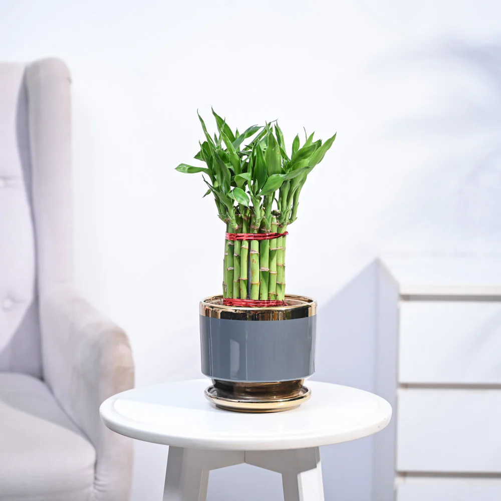 Product image 106