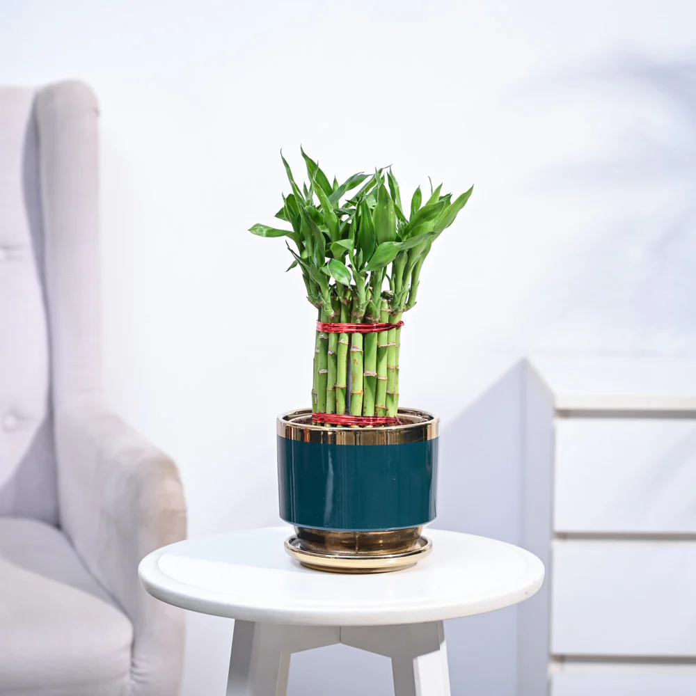 Product image 114