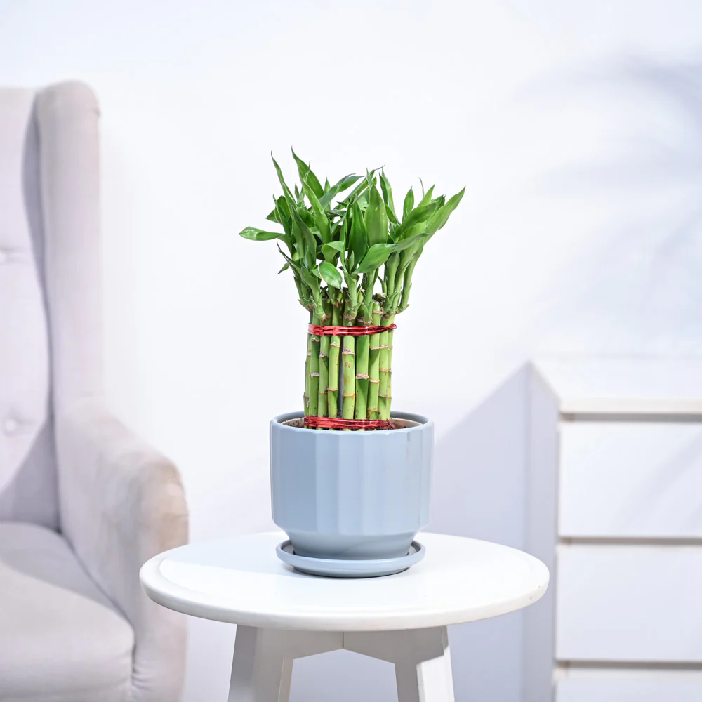 Product image 122