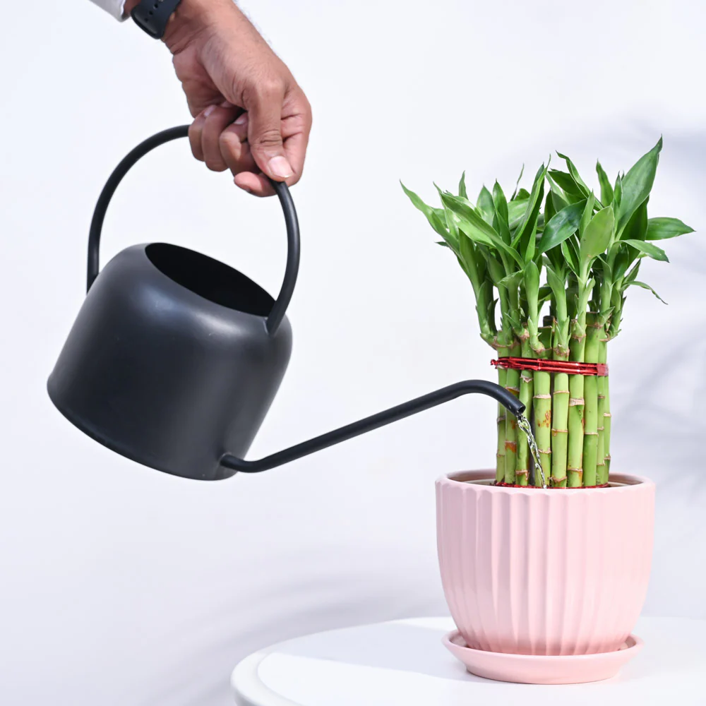 Product image 123