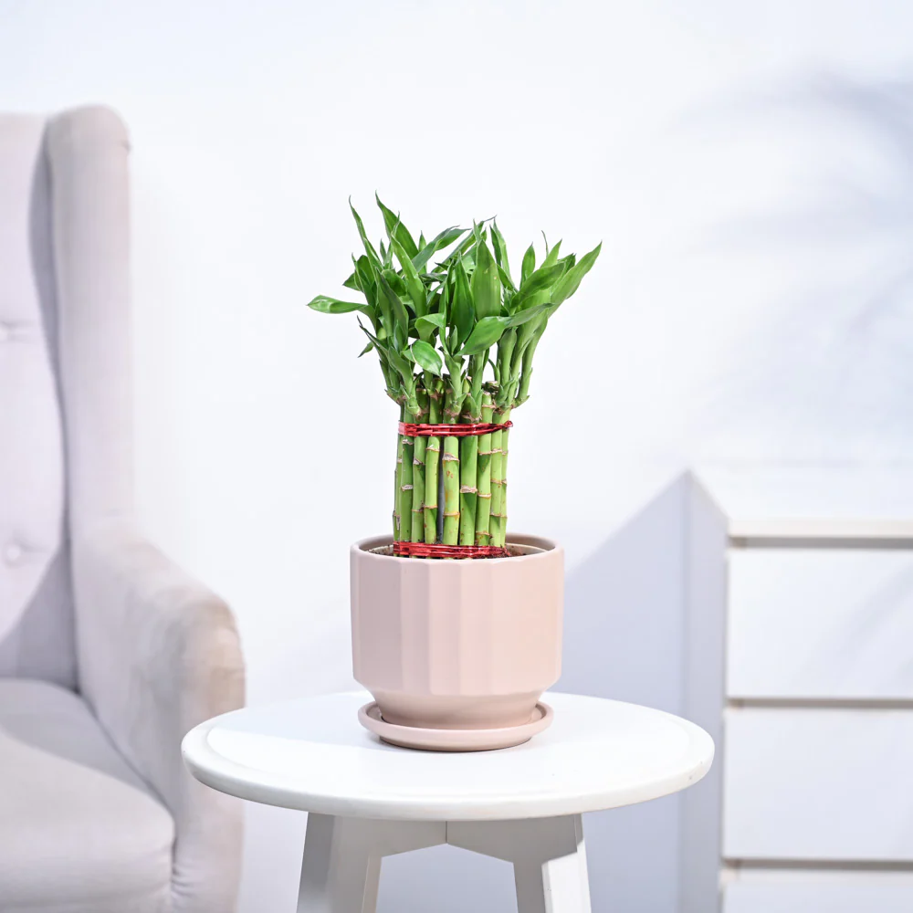 Product image 130