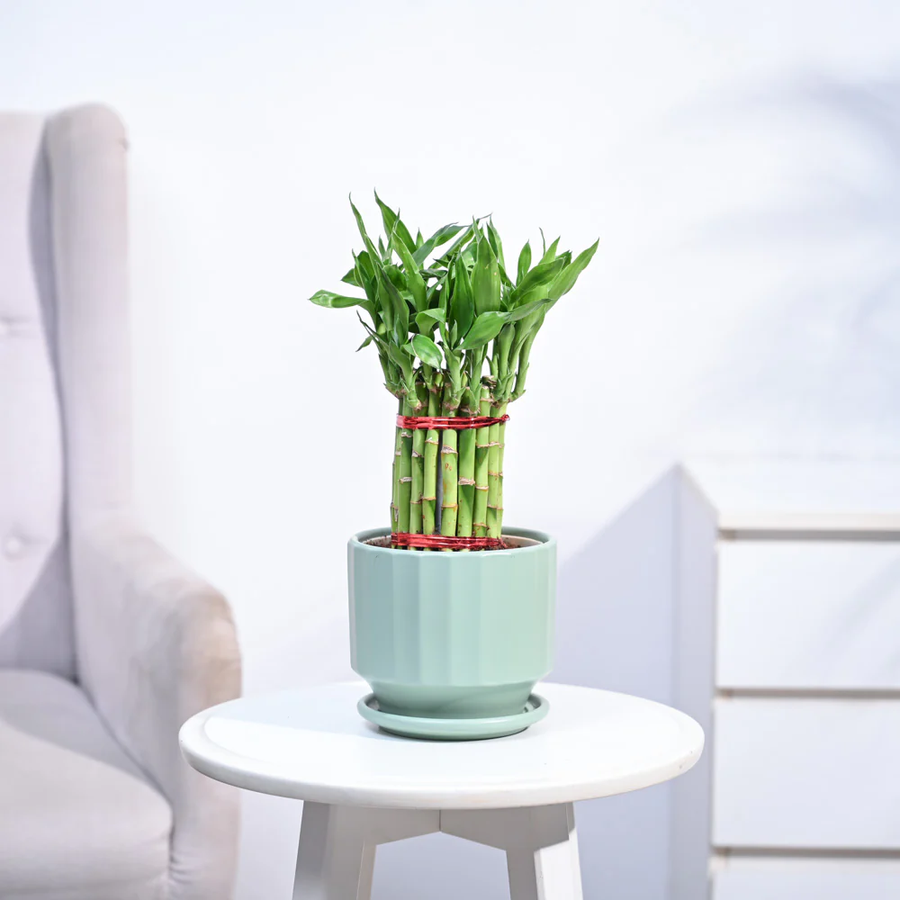 Product image 138