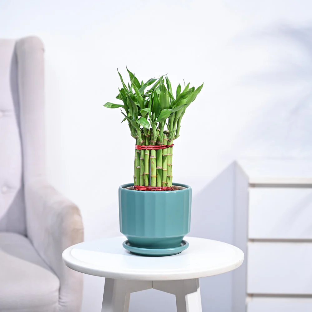 Product image 146