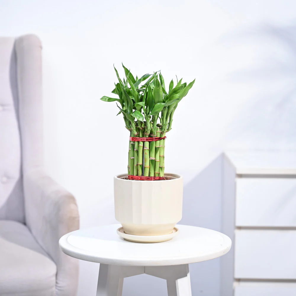 Product image 154