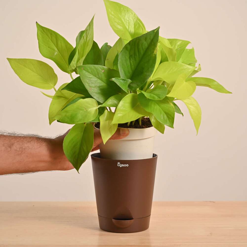 Product image 102