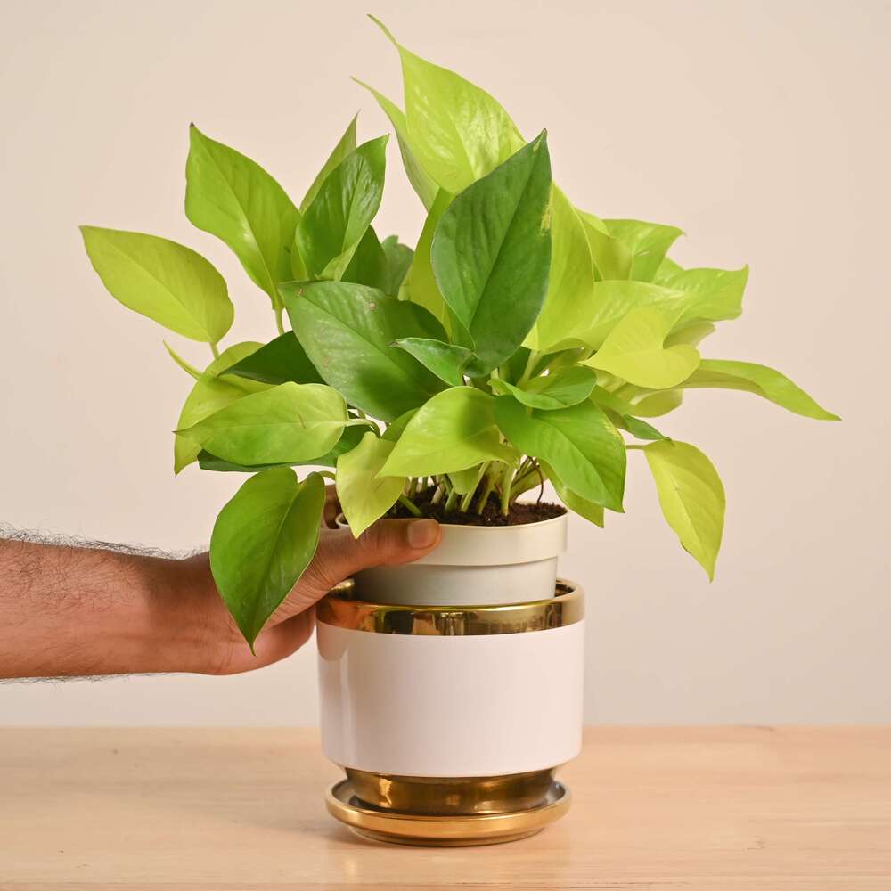 Product image 134