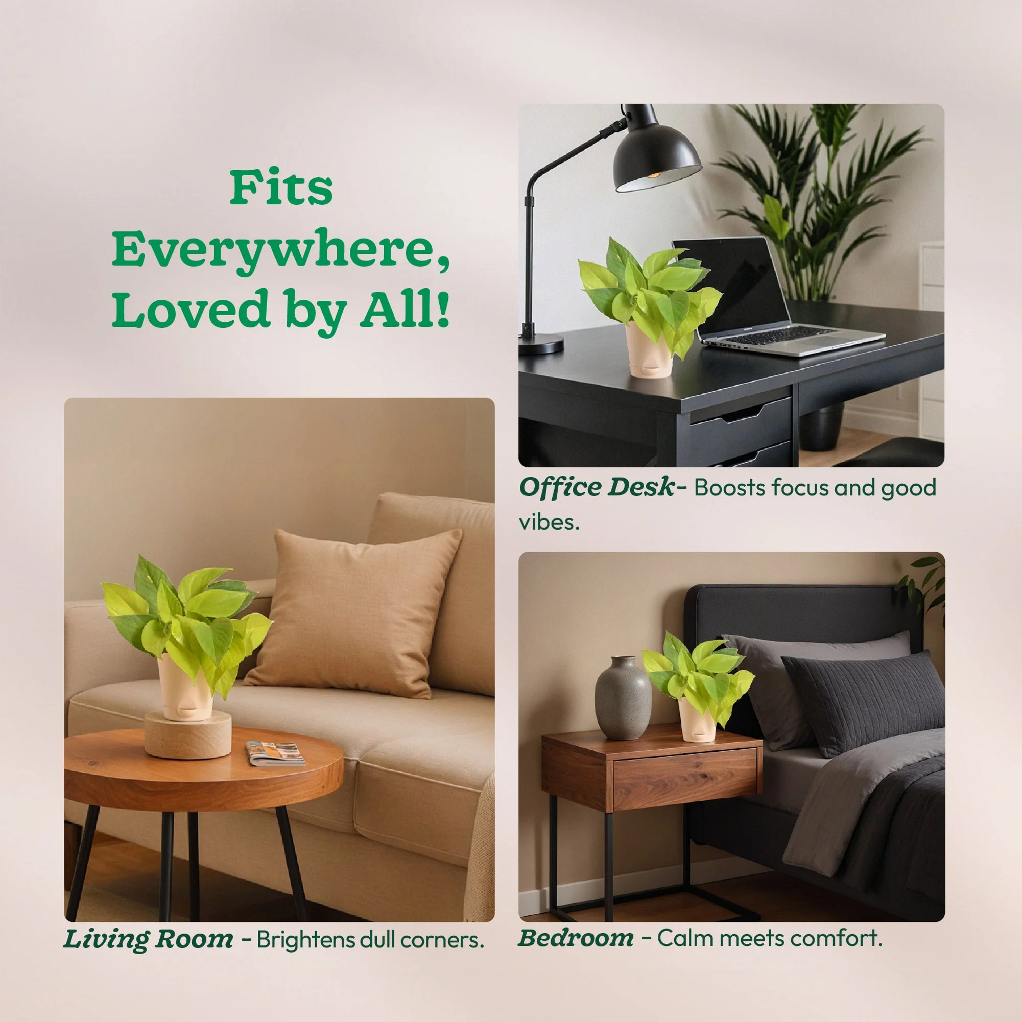 Product image 150