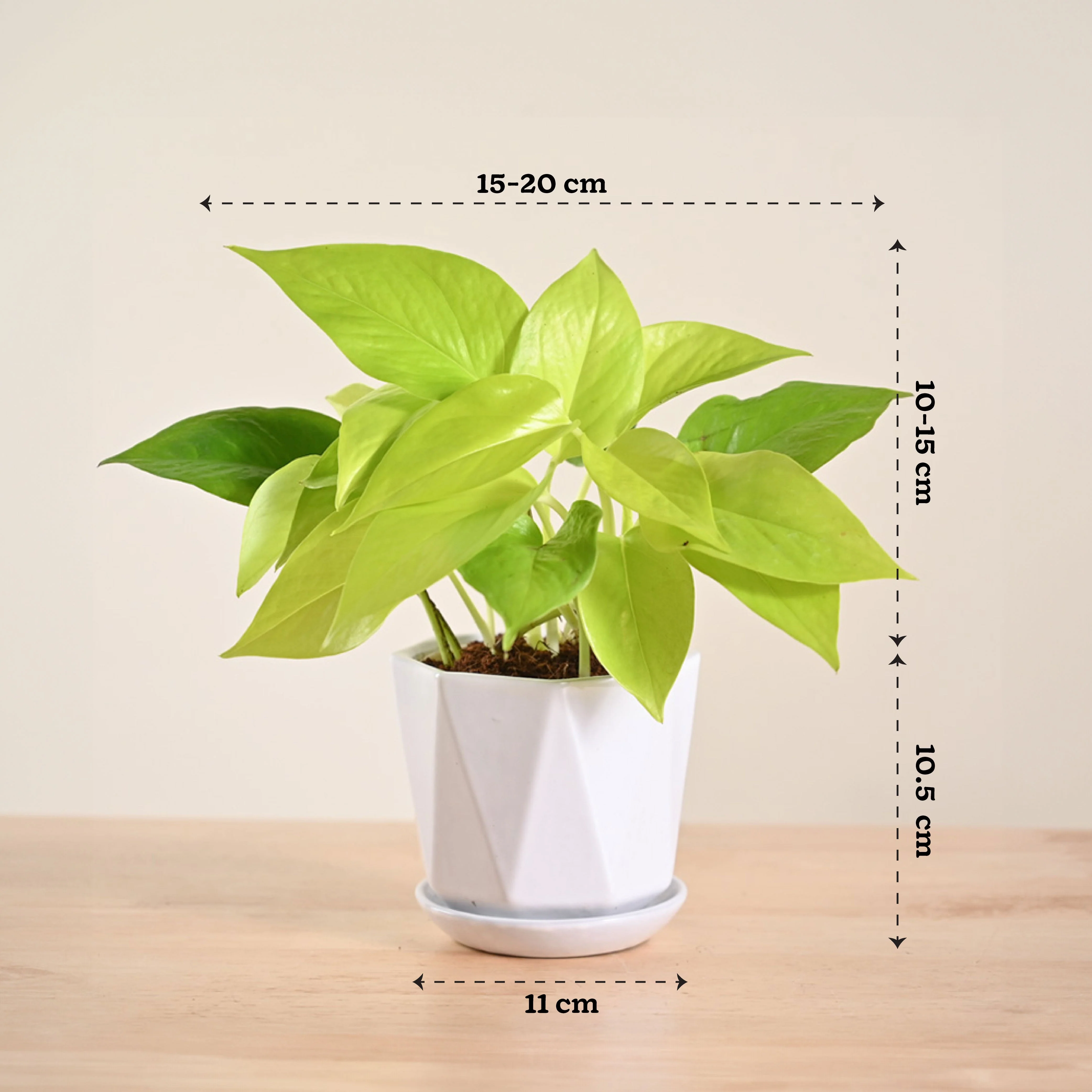 Product image 155