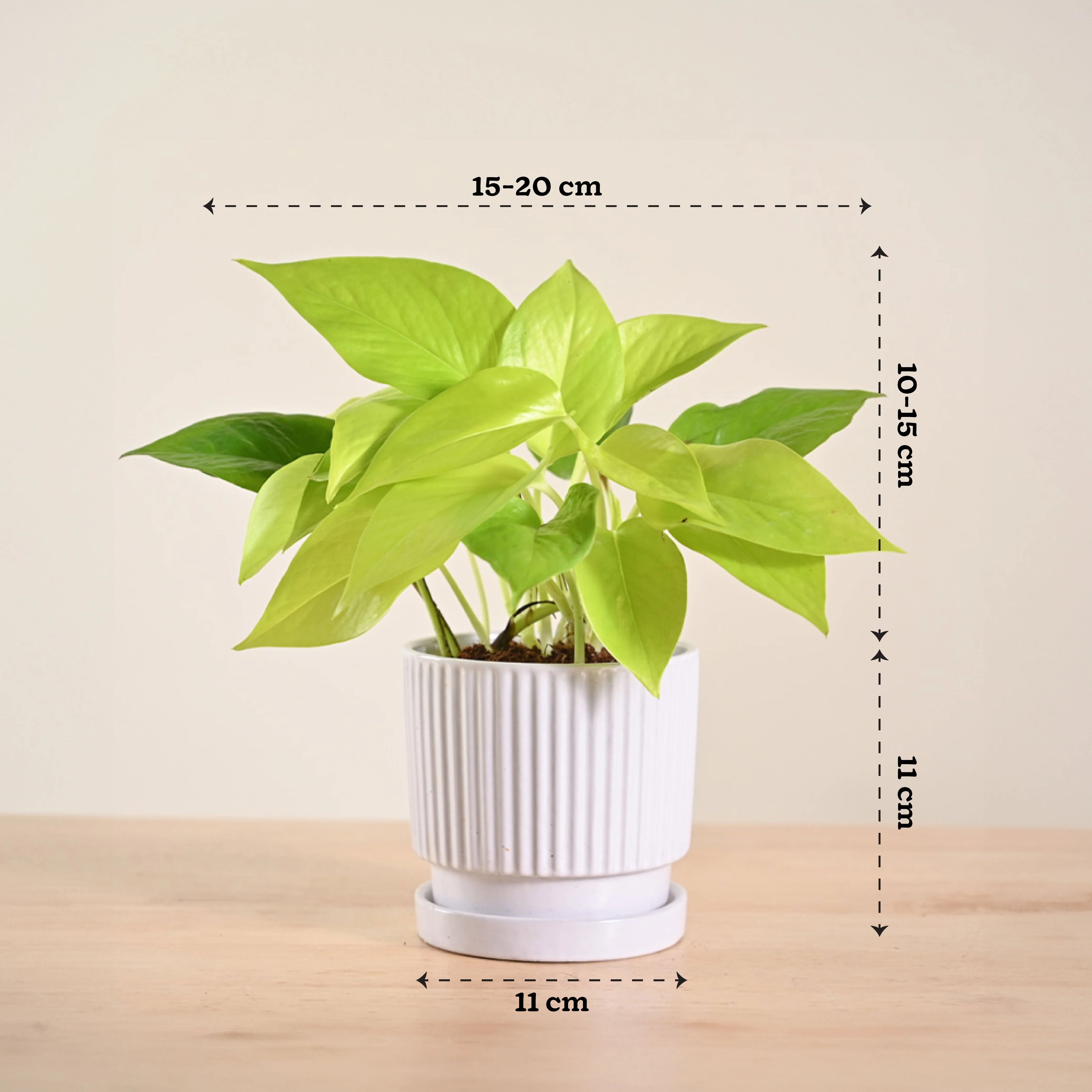 Product image 179