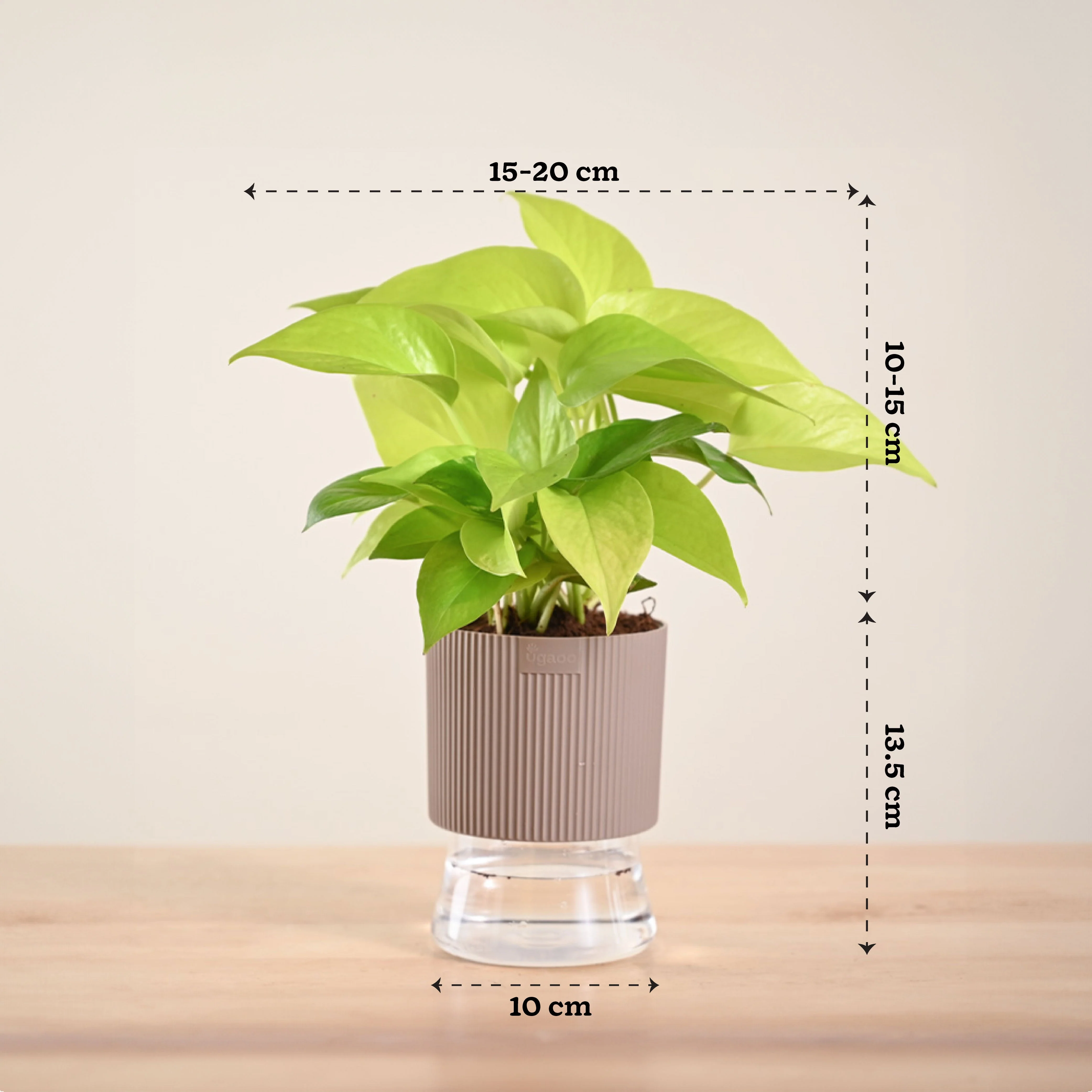 Product image 203