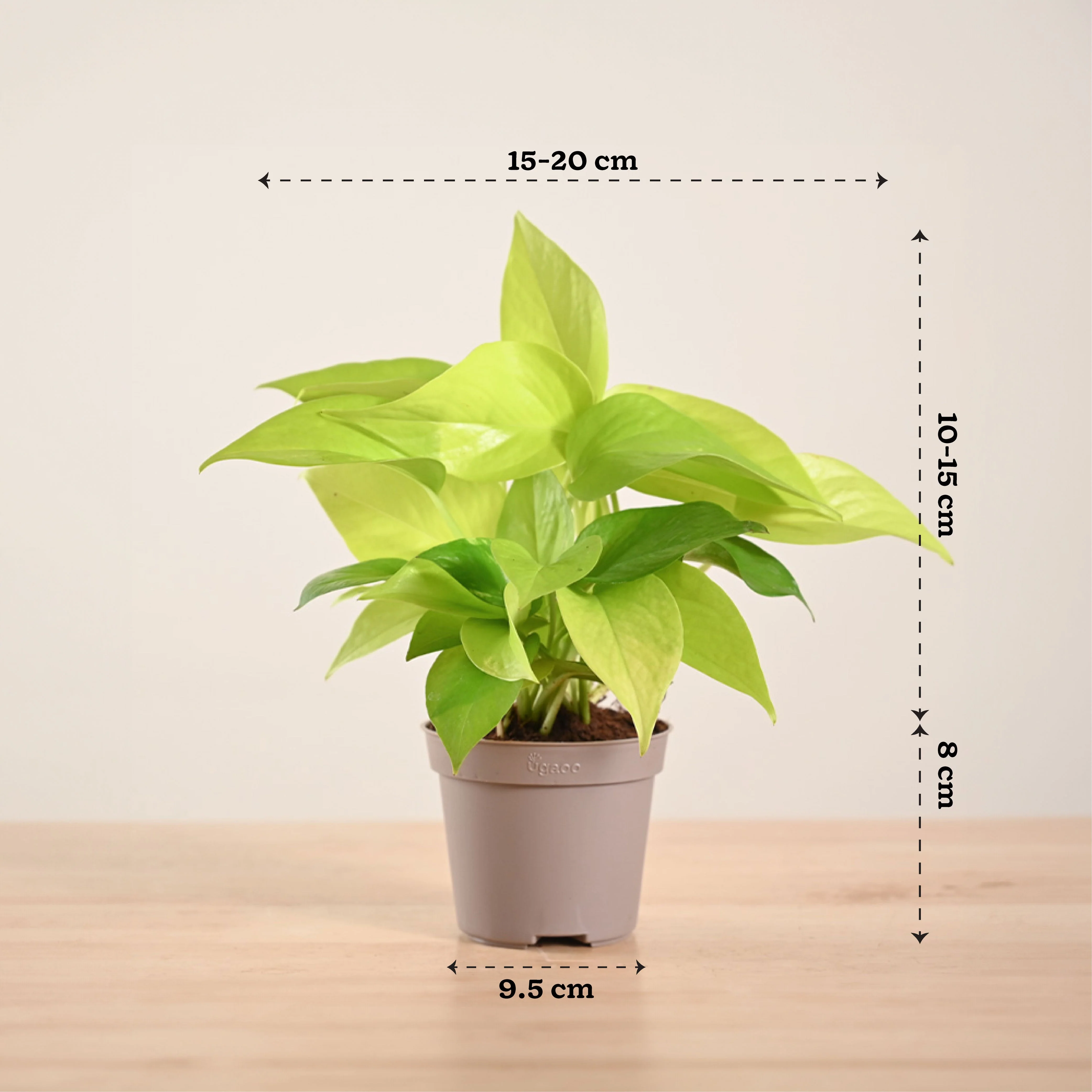 Product image 207