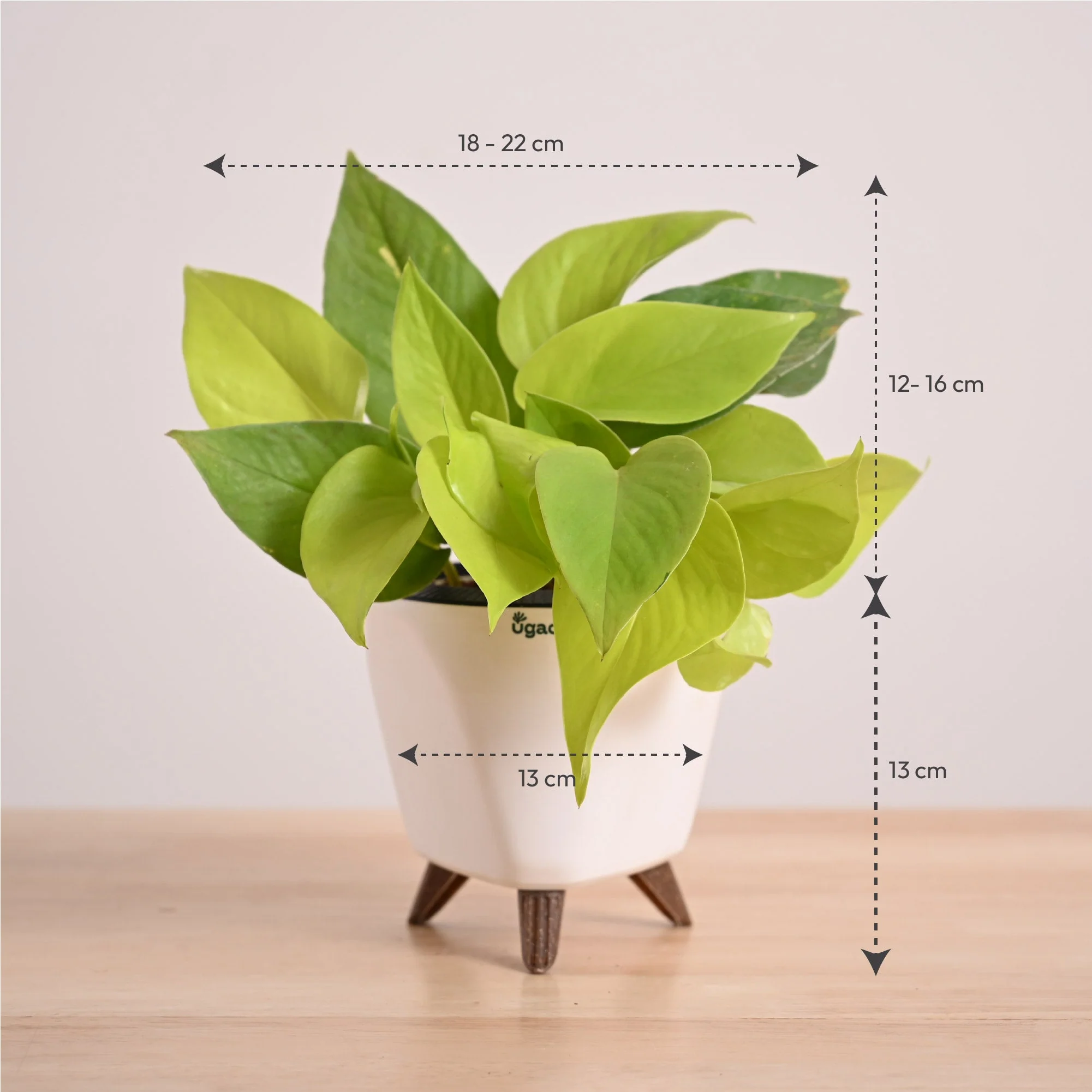 Product image 56