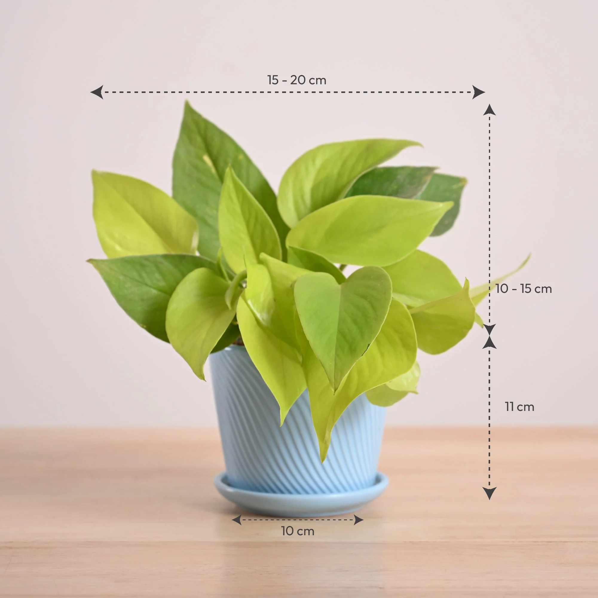 Product image 68