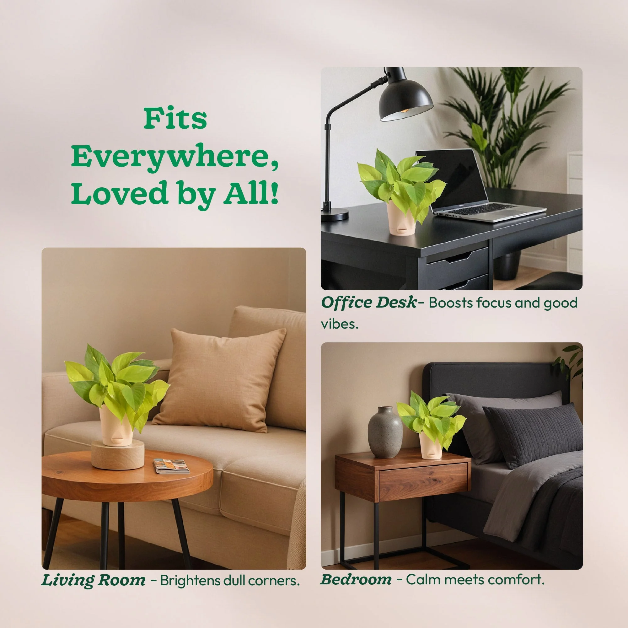 Product image 85