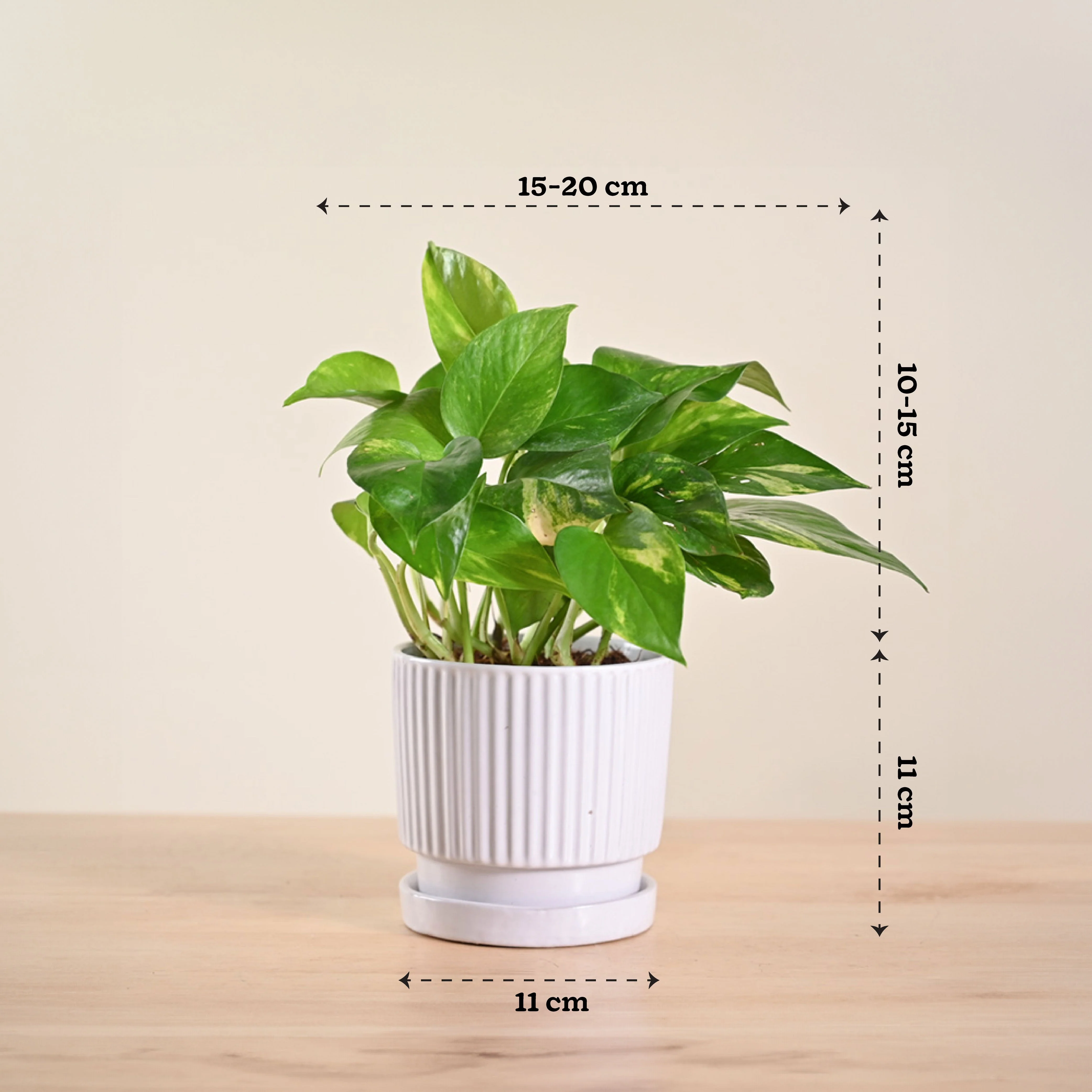 Product image 161