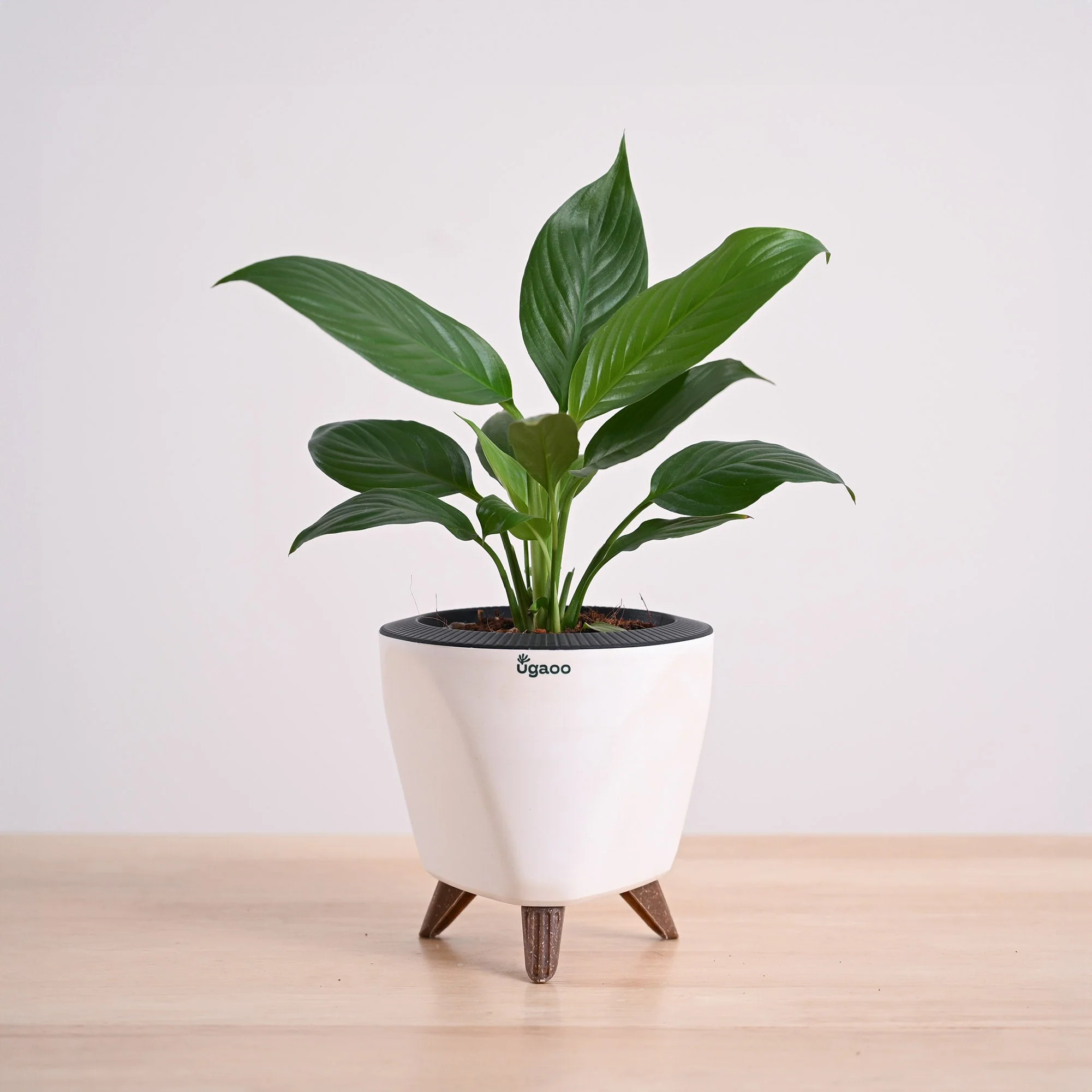 Product image 113