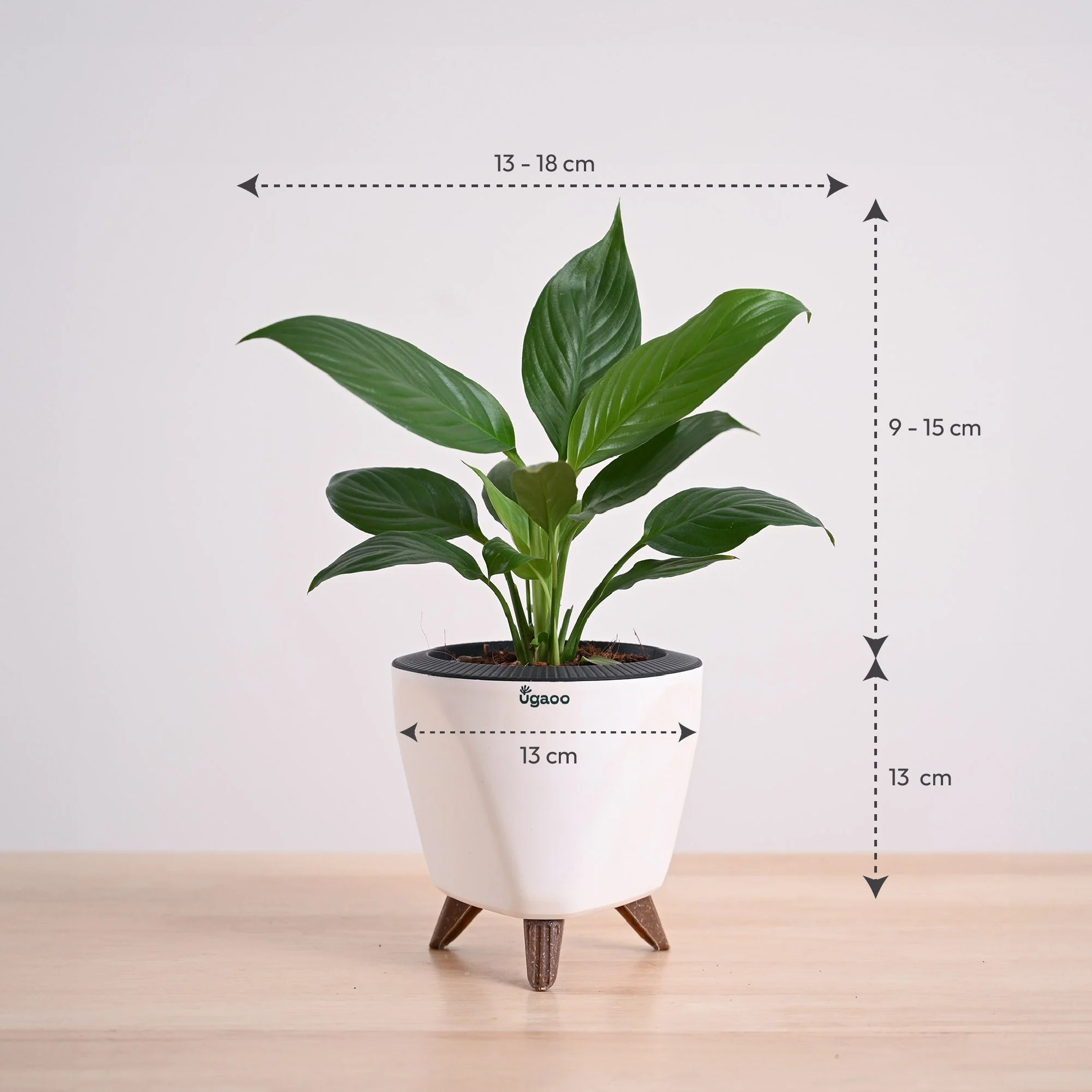 Product image 114