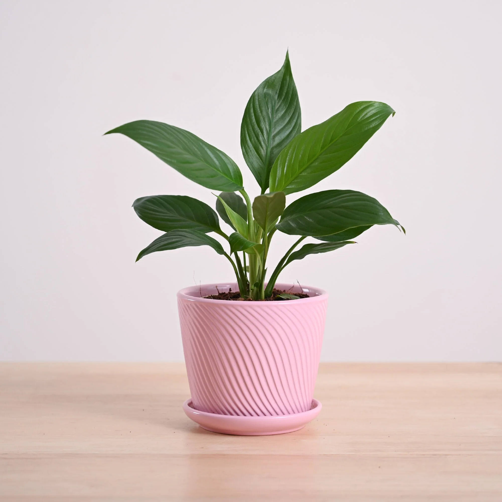 Product image 137