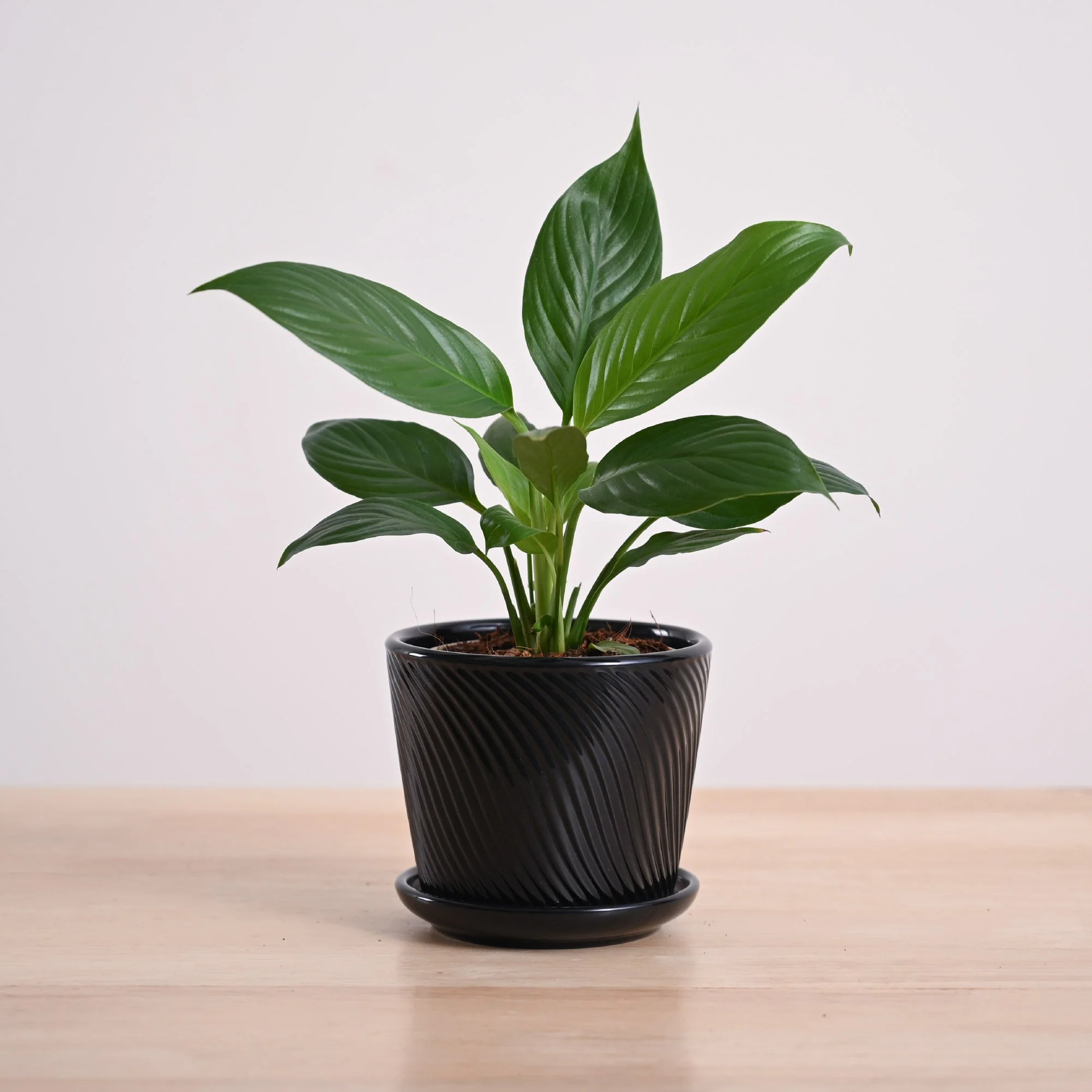 Product image 143