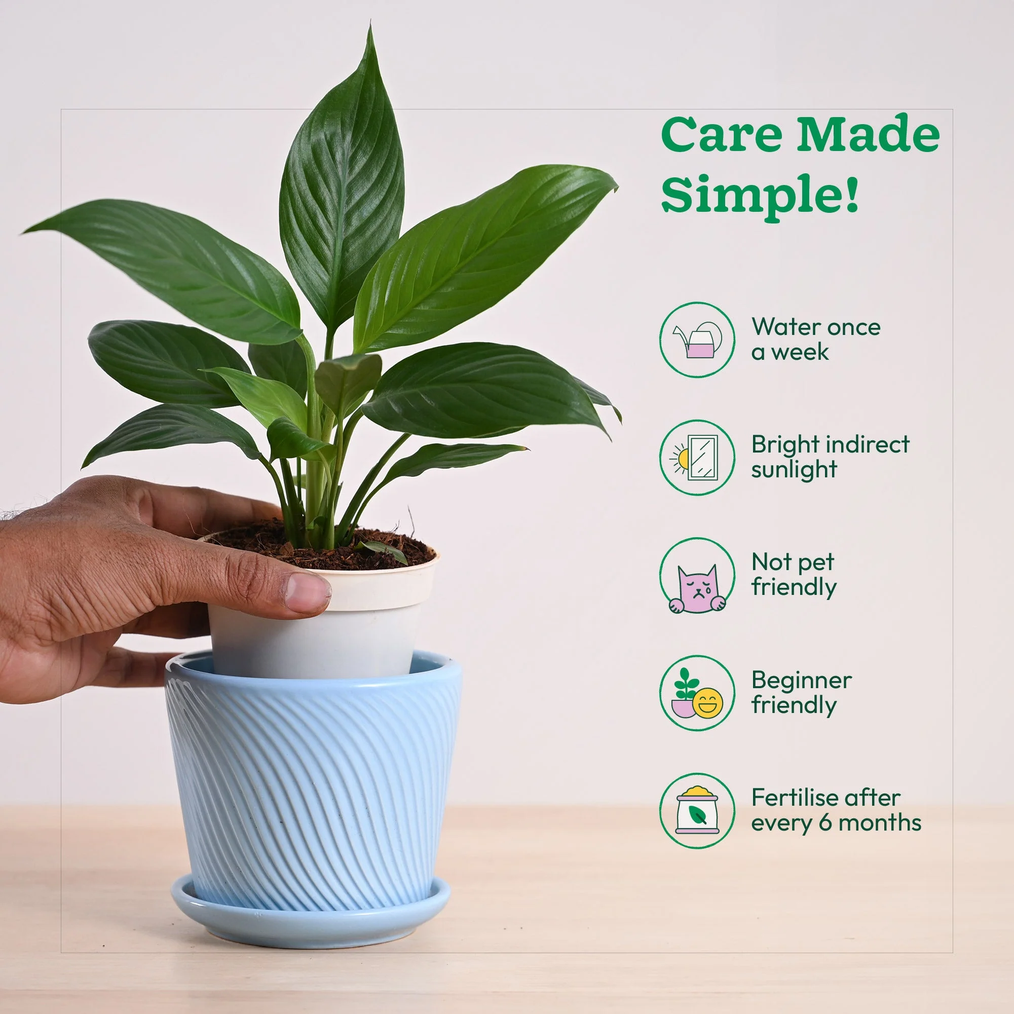 Product image 146