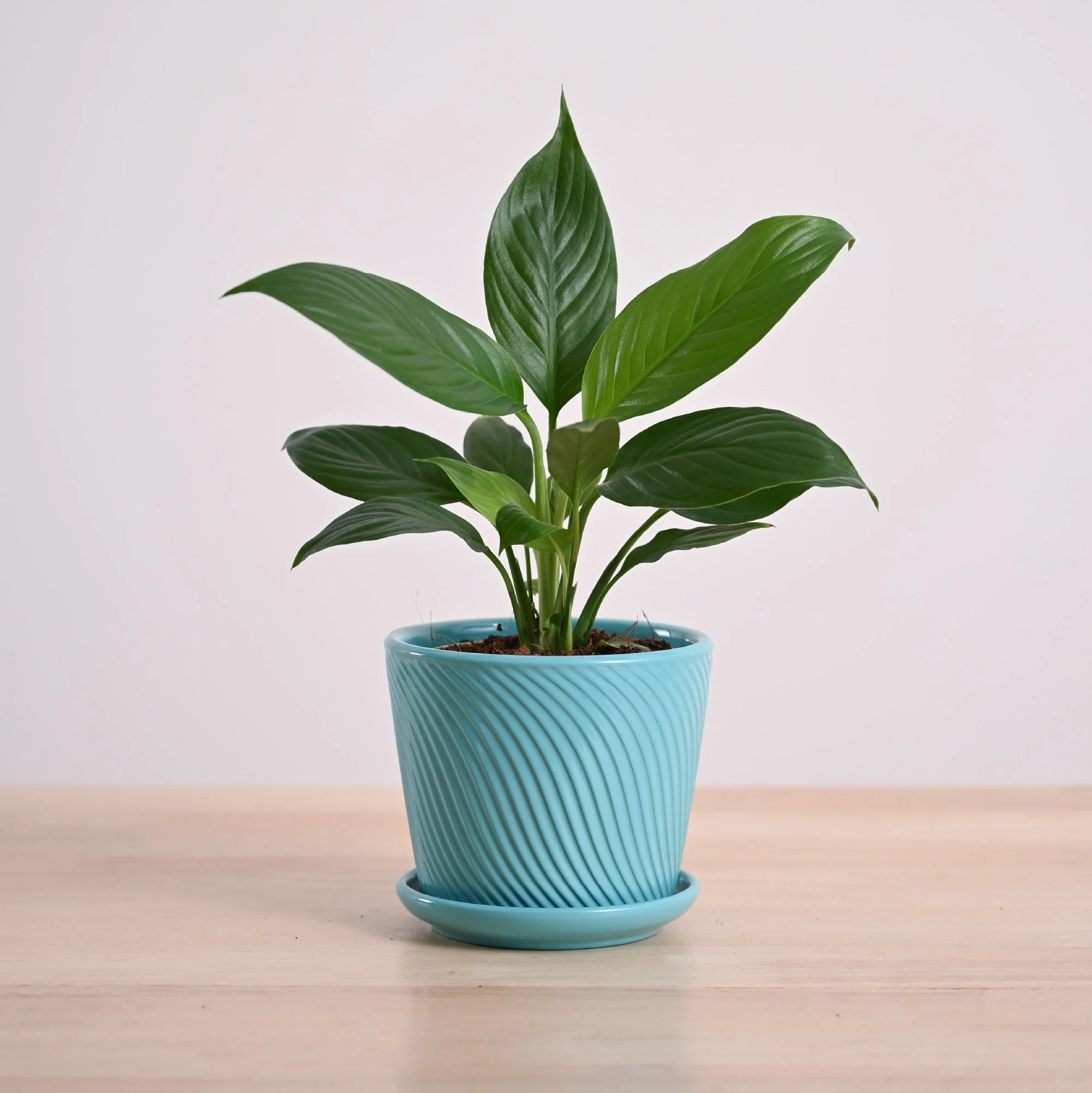 Product image 149