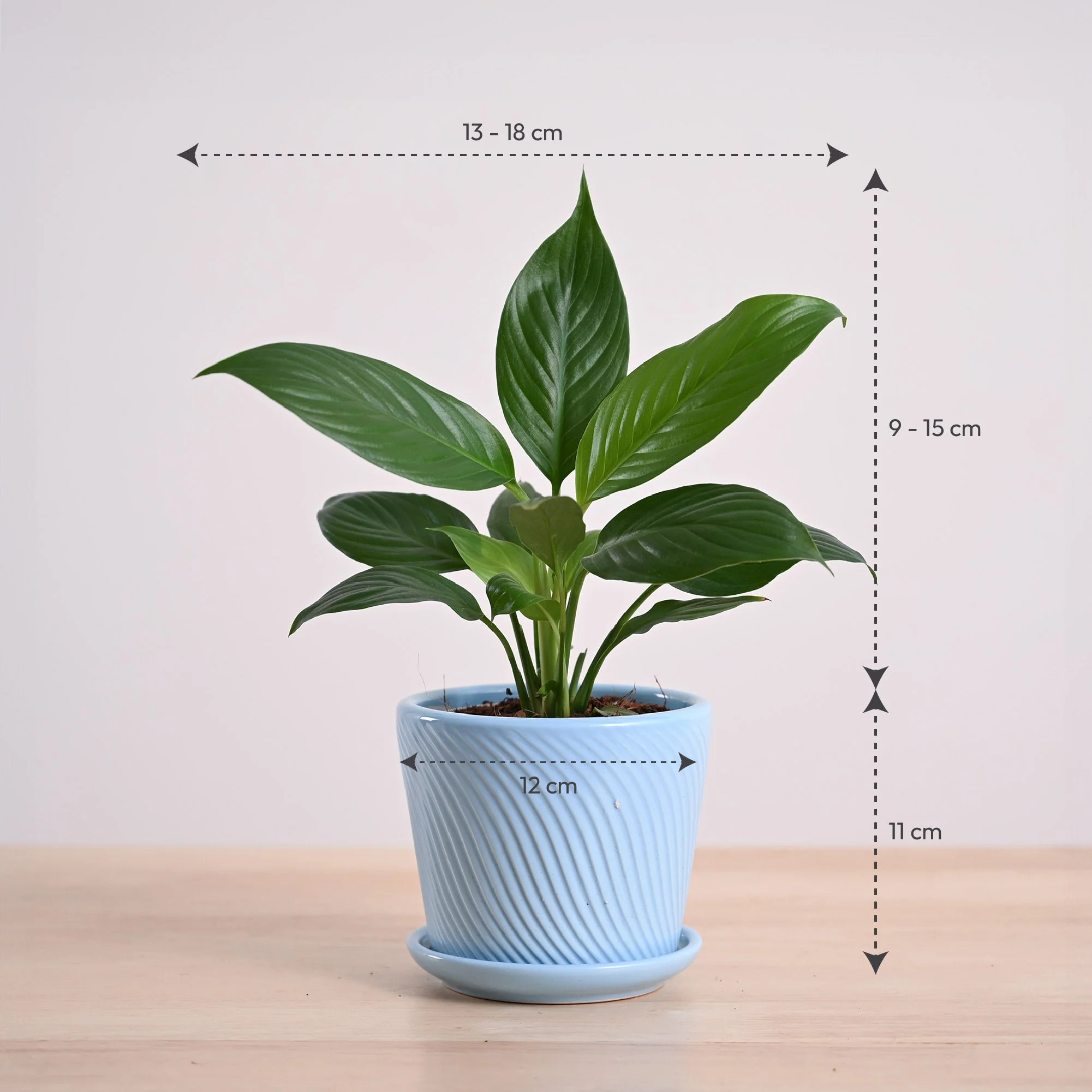 Product image 156