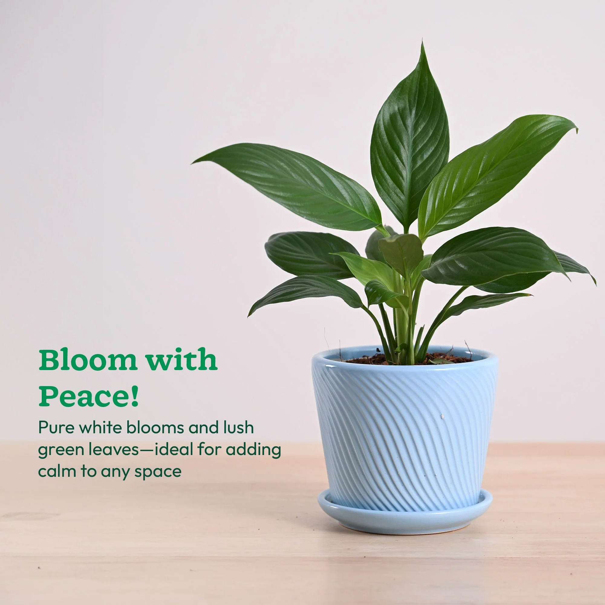 Product image 157