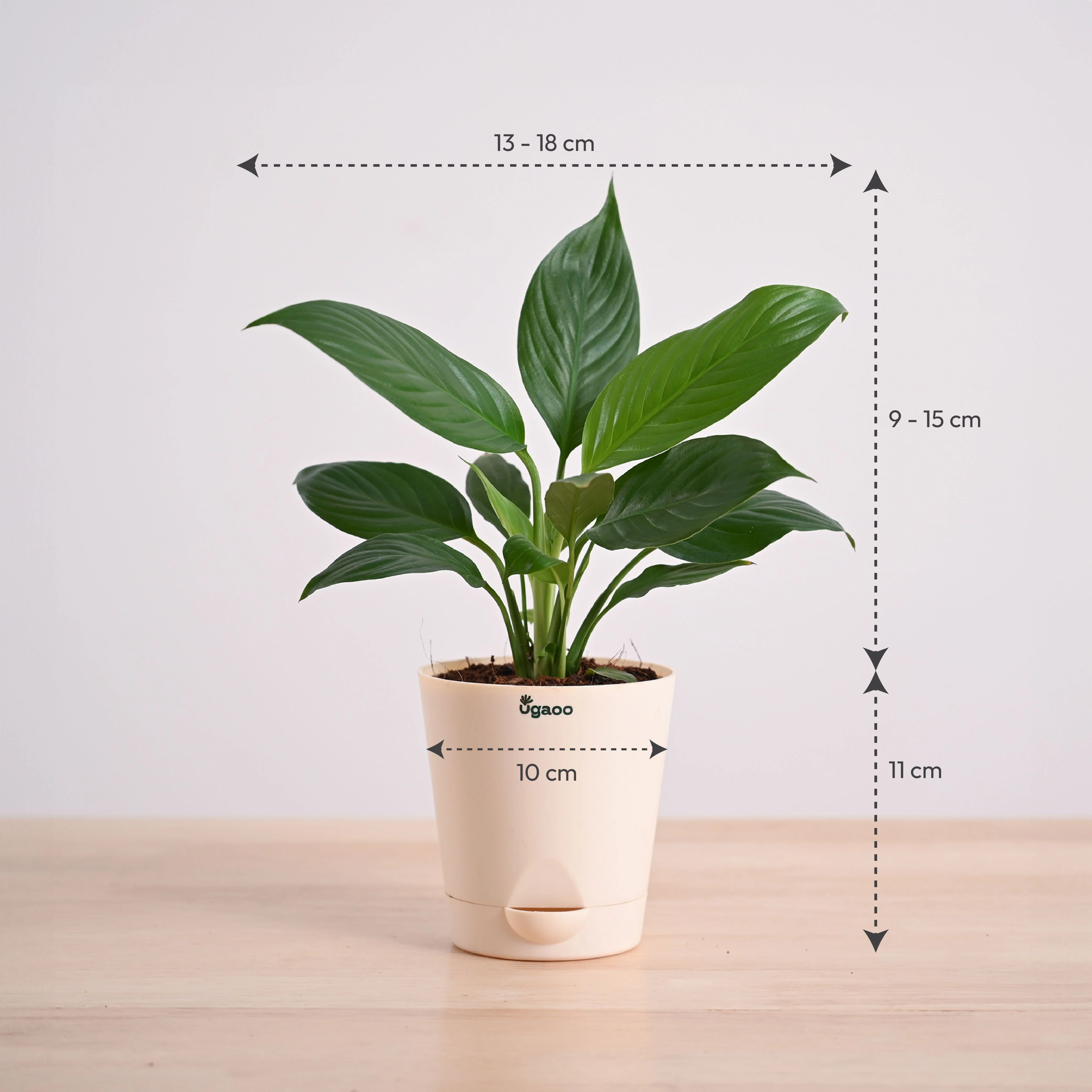 Product image 167
