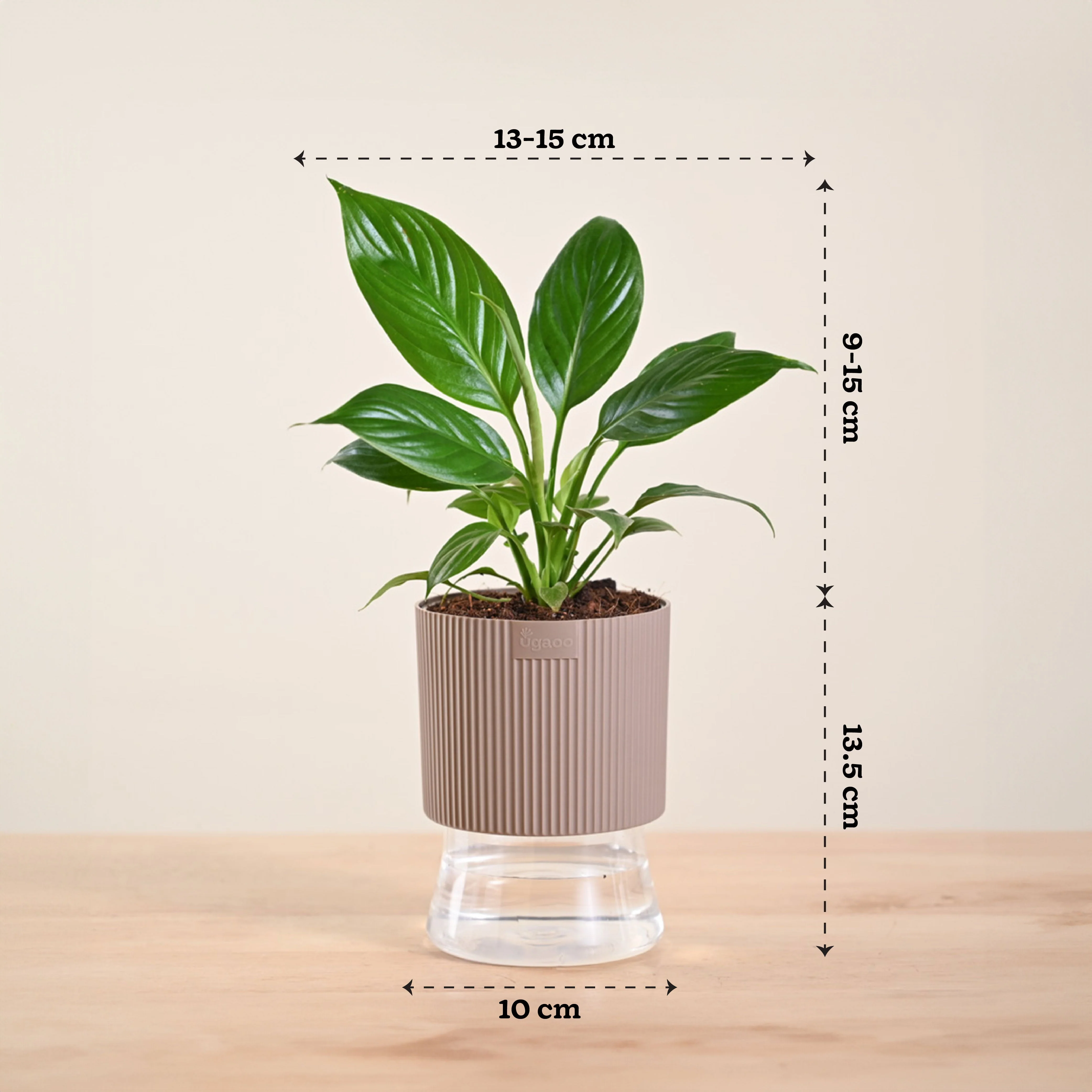 Product image 226