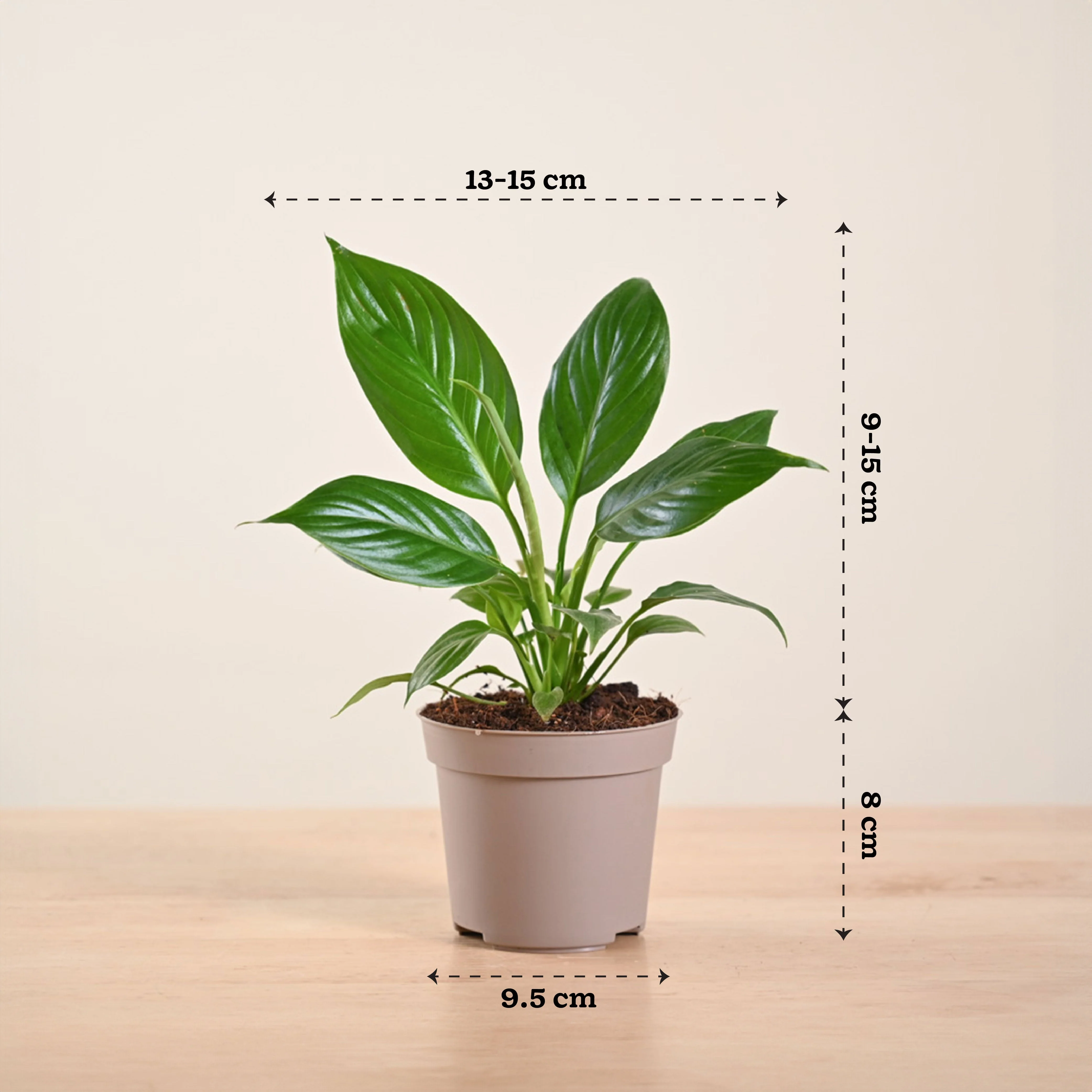 Product image 234