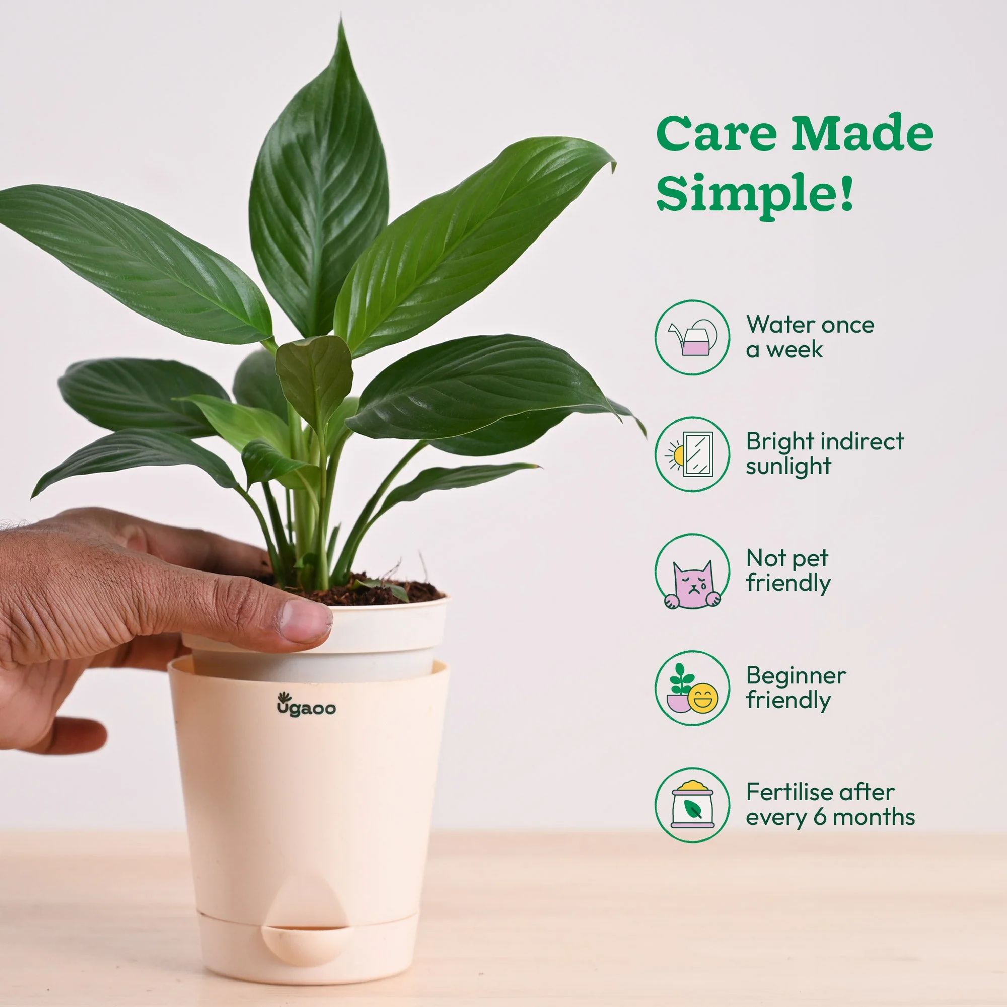 Product image 63