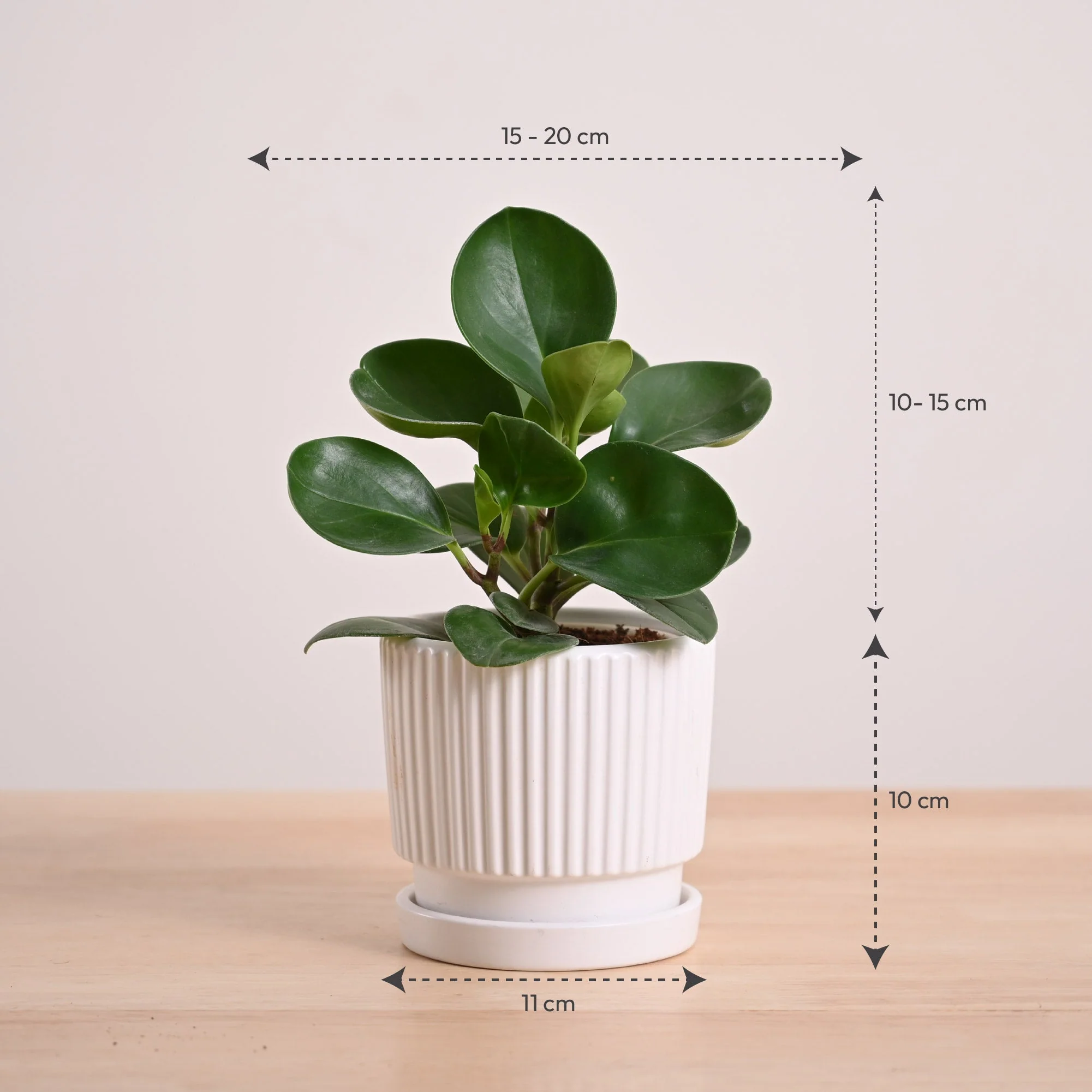 Product image 109