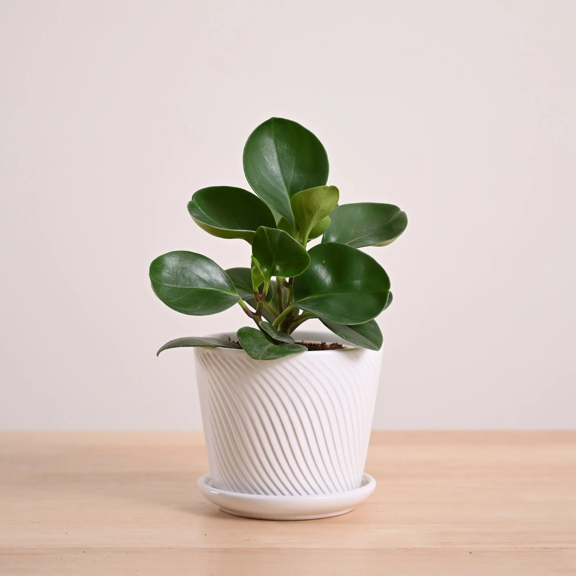 Product image 98