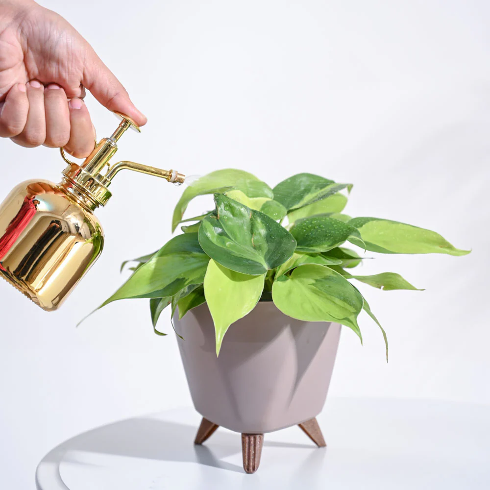 Product image 111