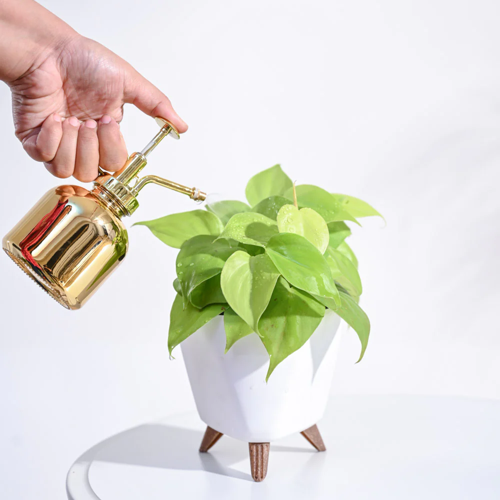 Product image 113