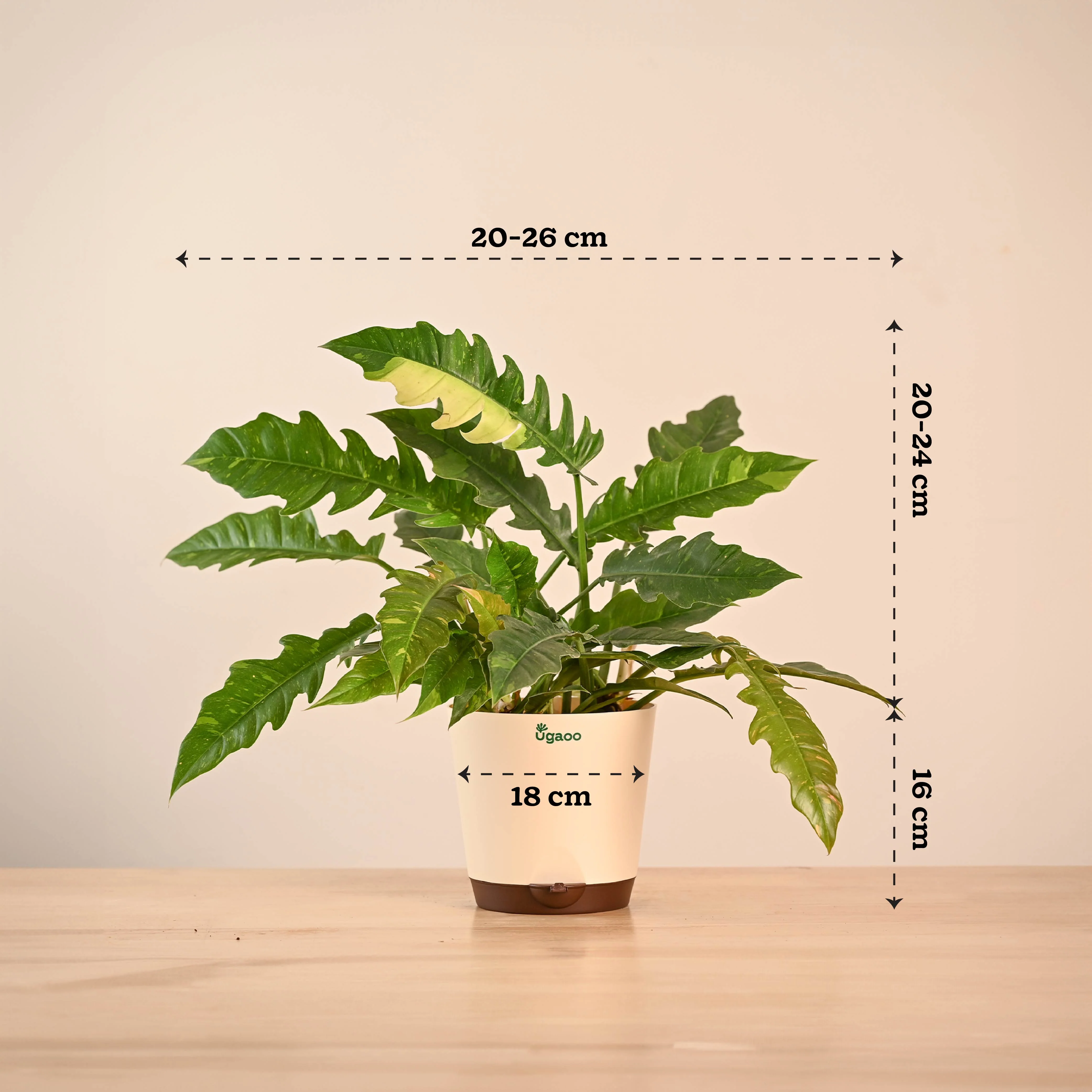 Product image 27