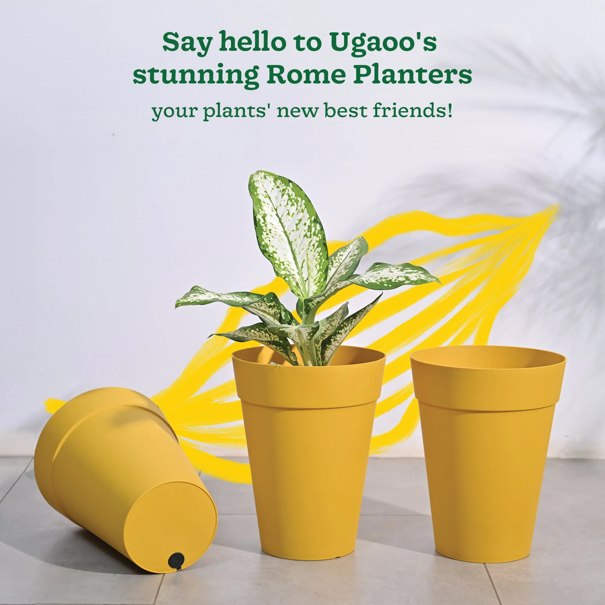 Product image 62
