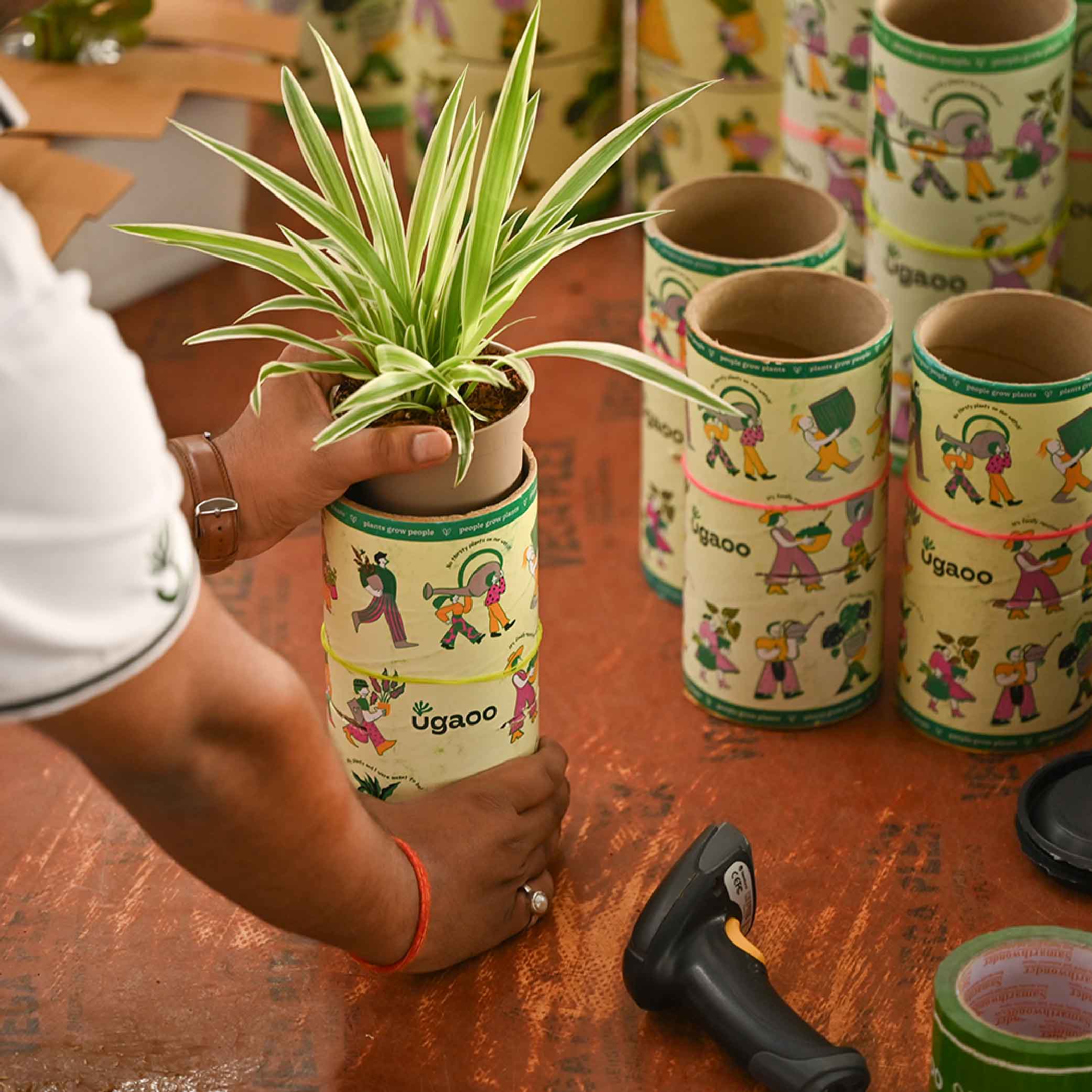 Product image 14