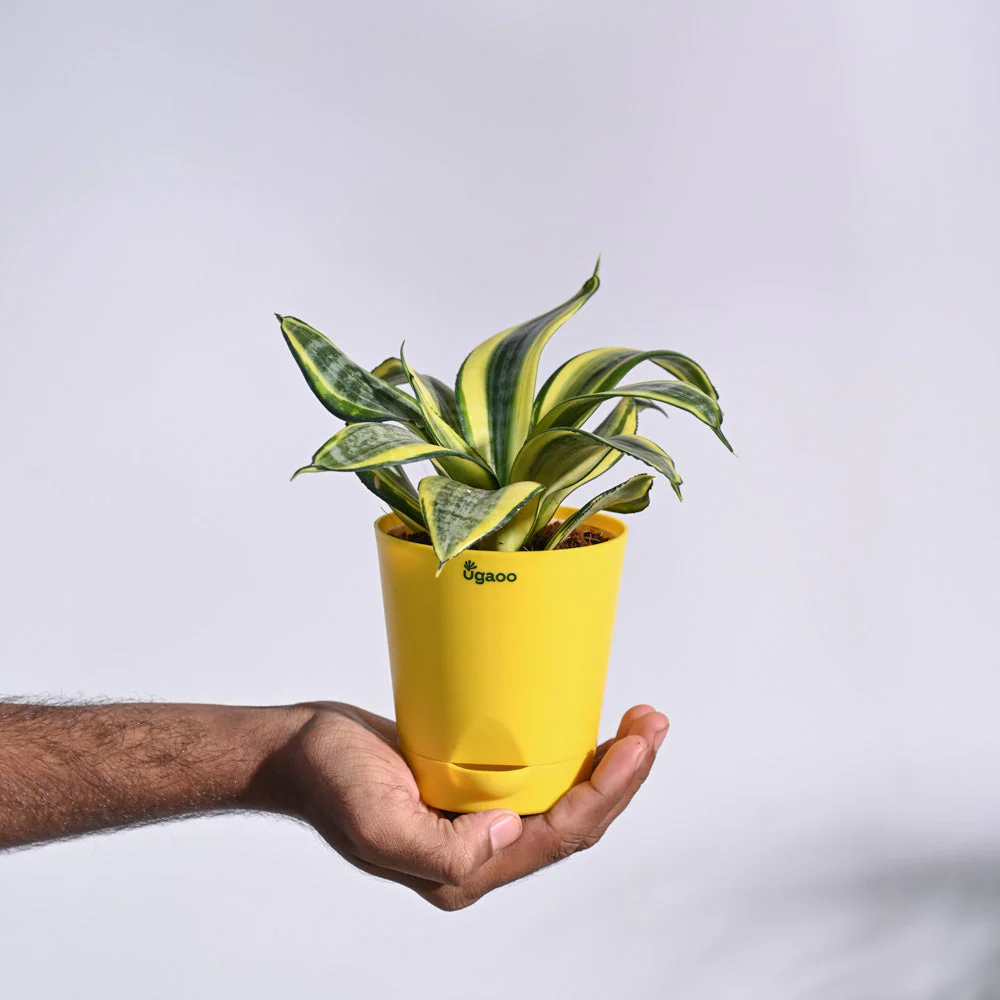 Product image 72