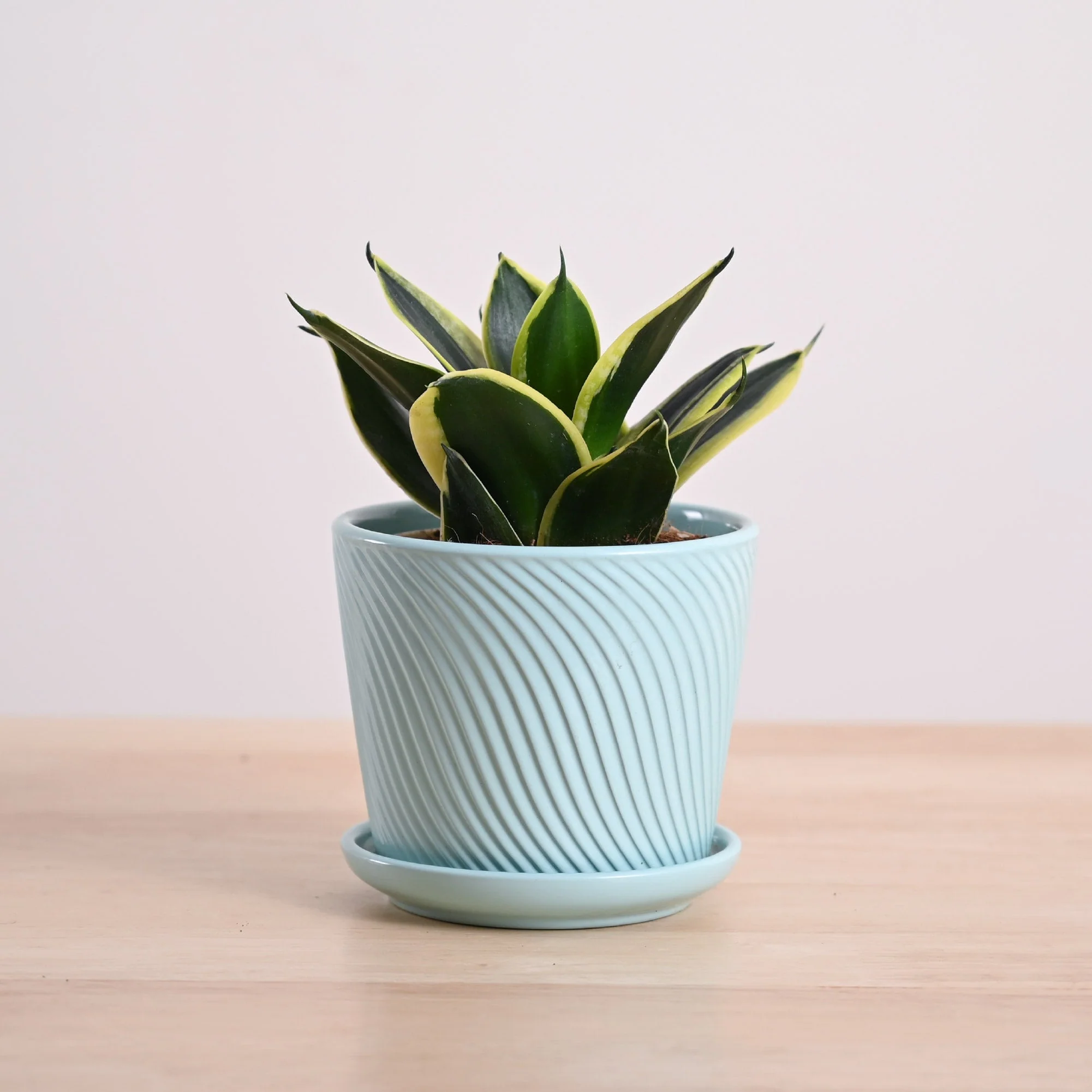 Product image 105