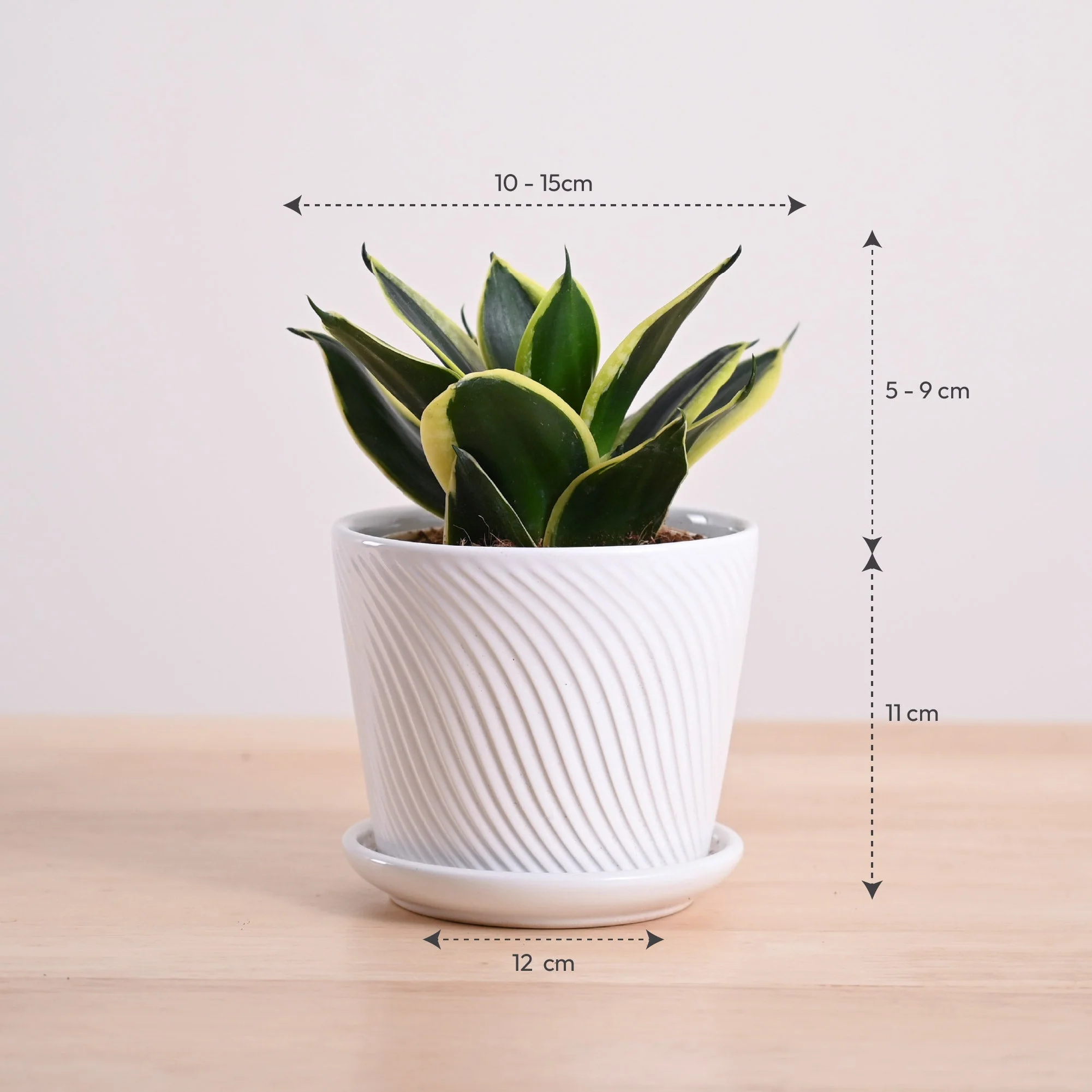 Product image 107