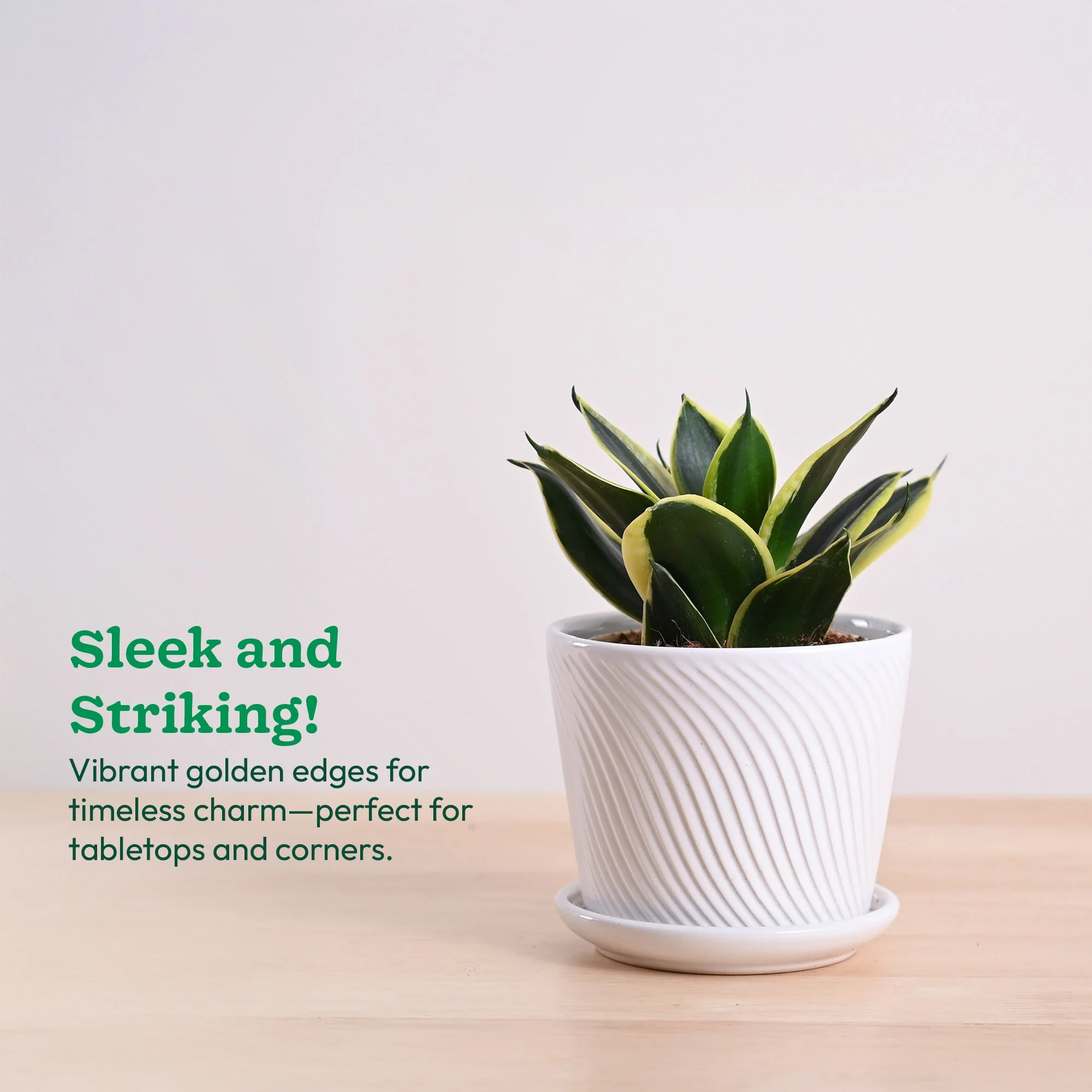 Product image 114