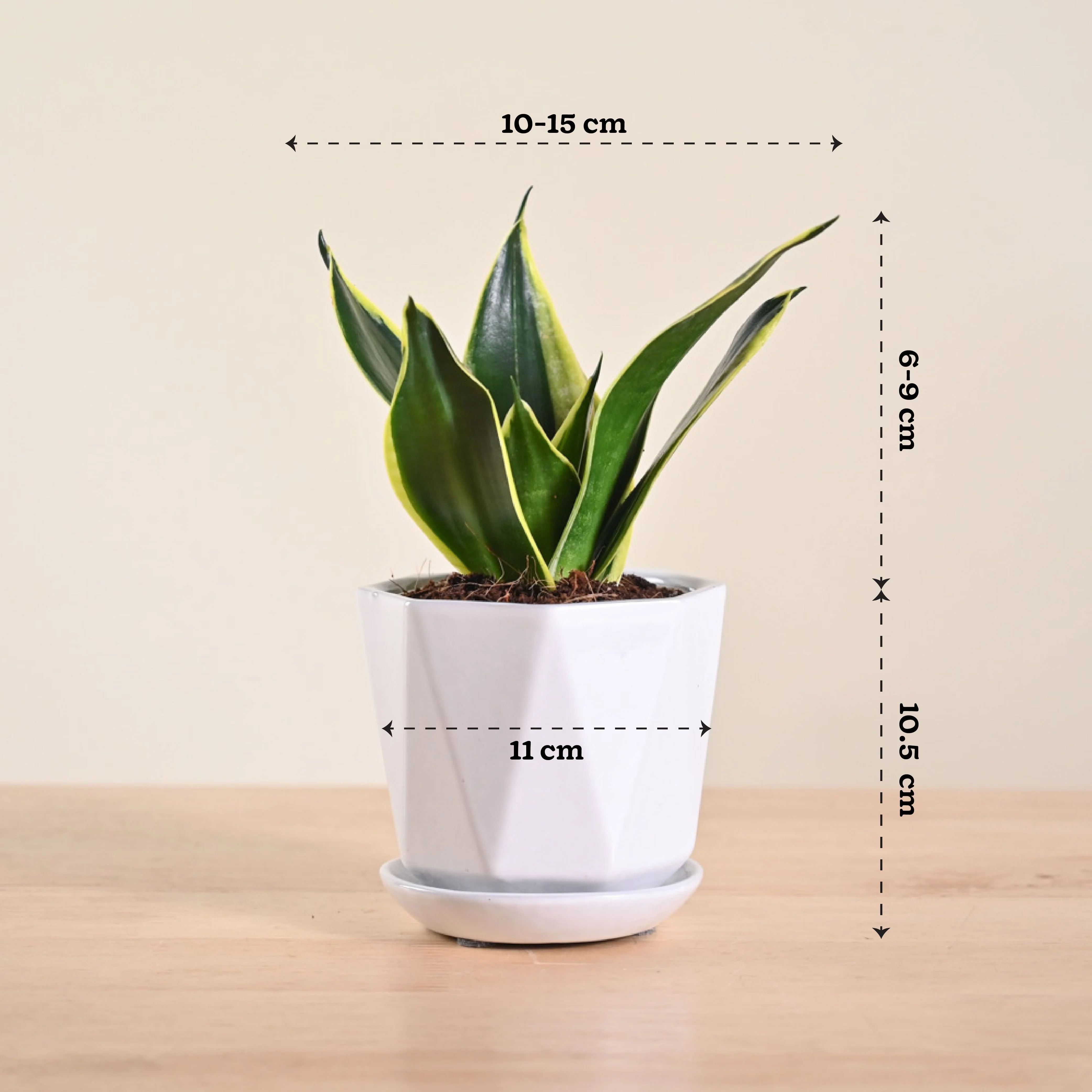 Product image 130
