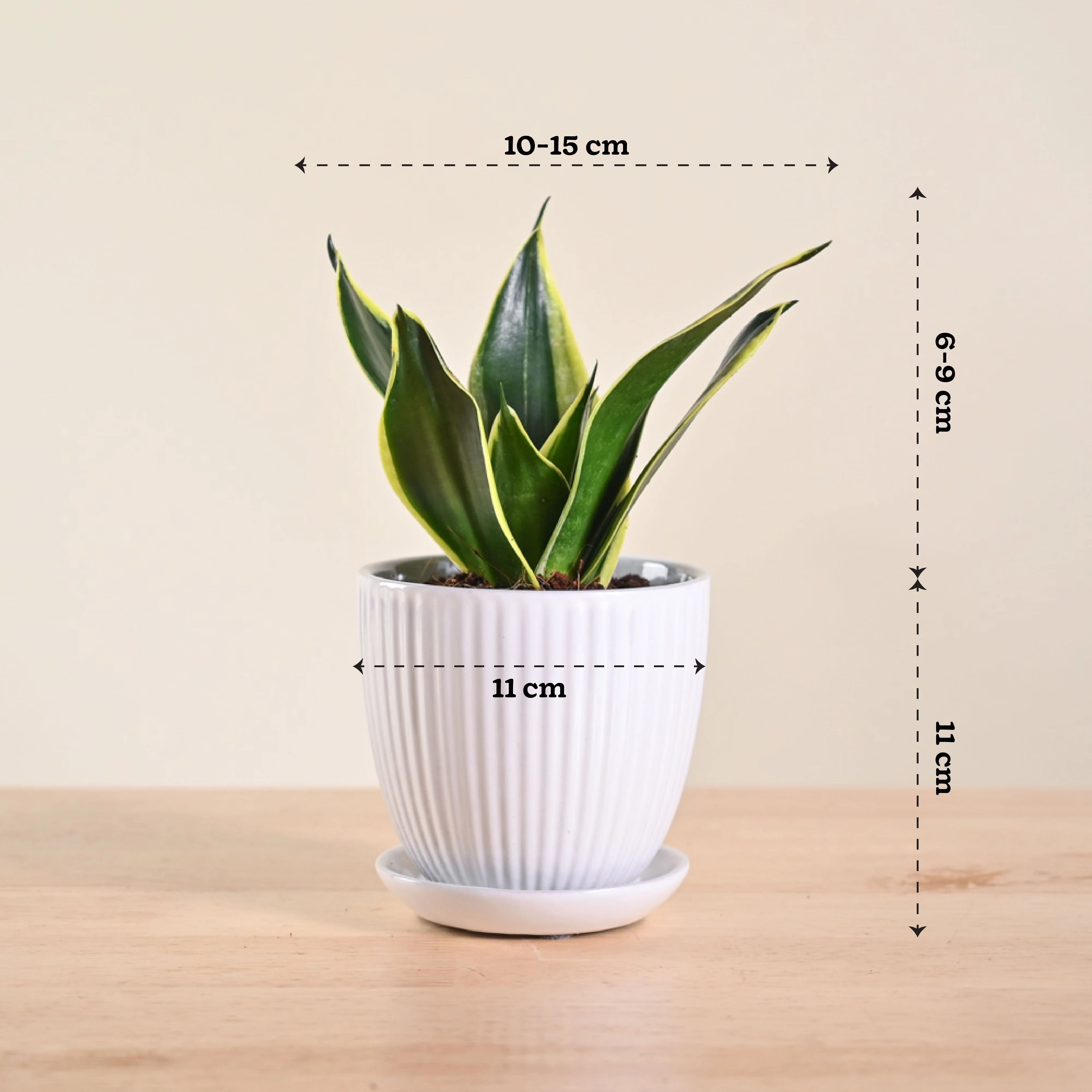 Product image 138