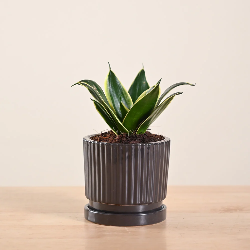 Product image 153