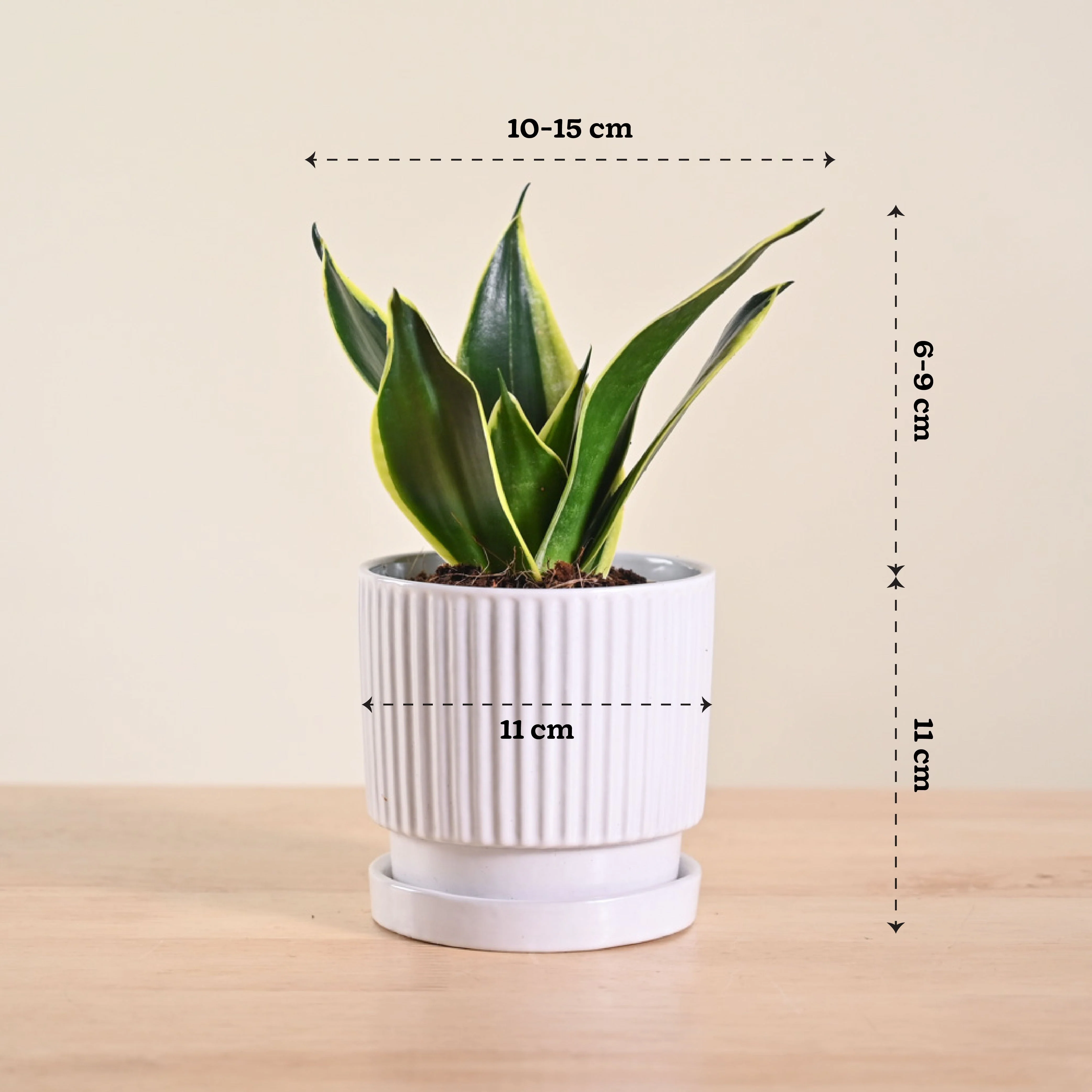 Product image 158