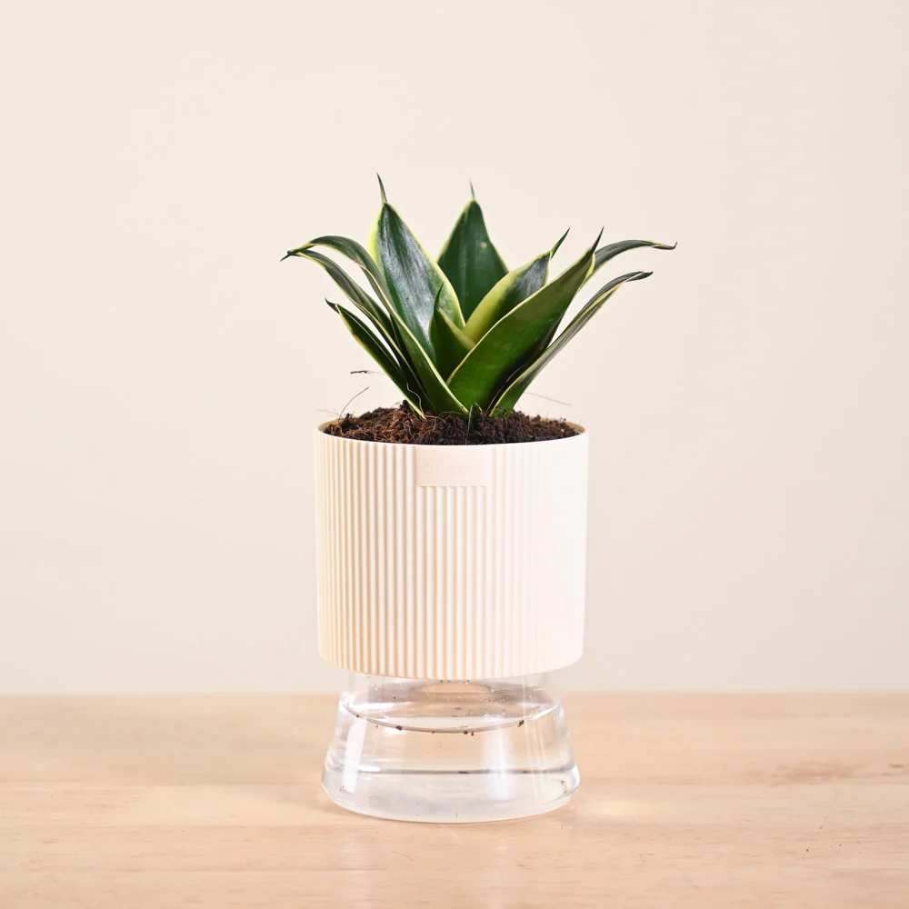 Product image 169