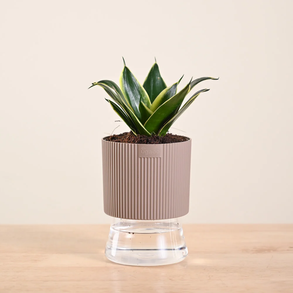 Product image 173