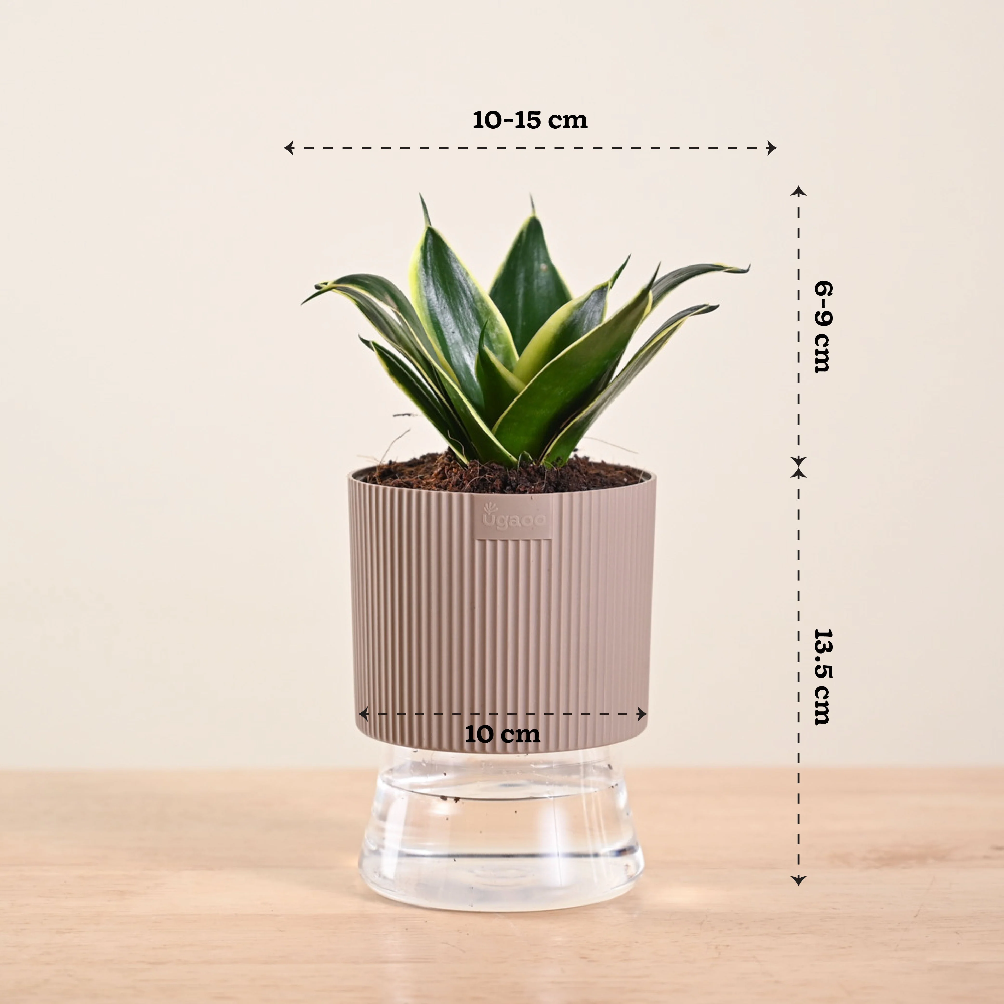 Product image 174