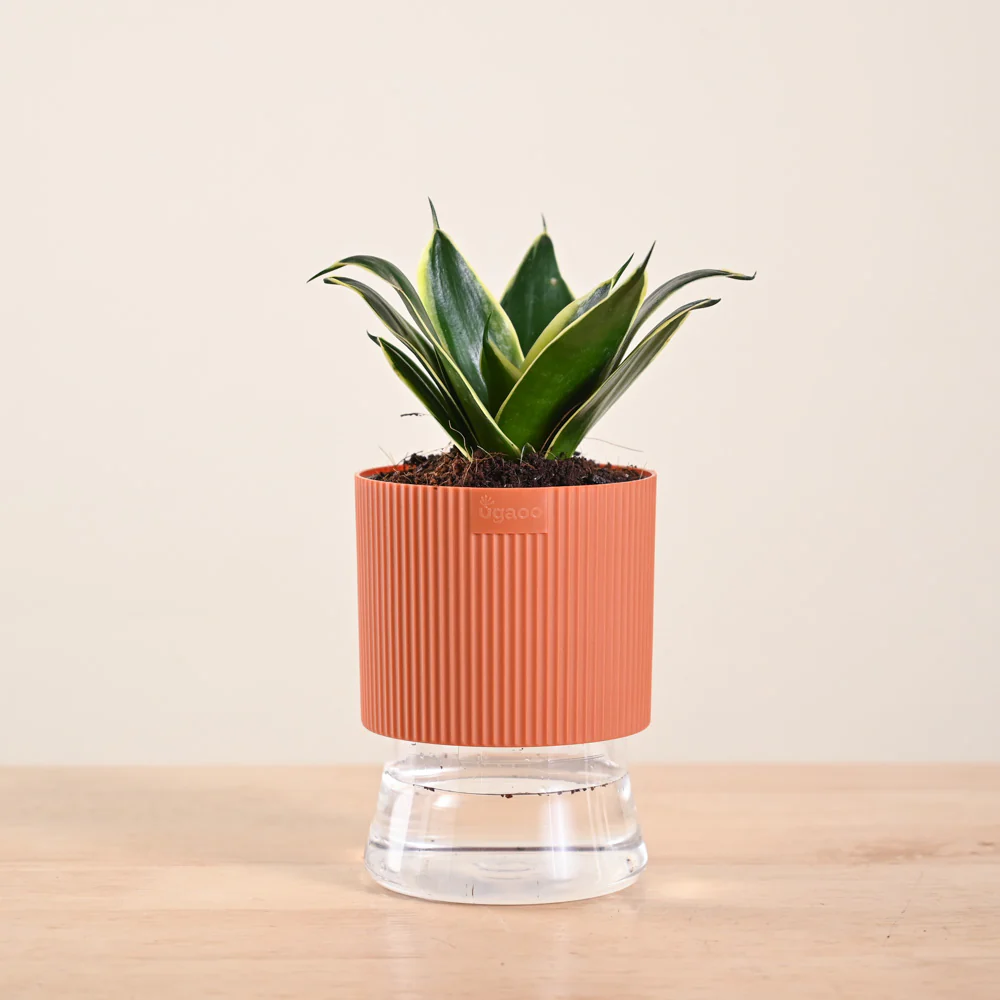 Product image 177